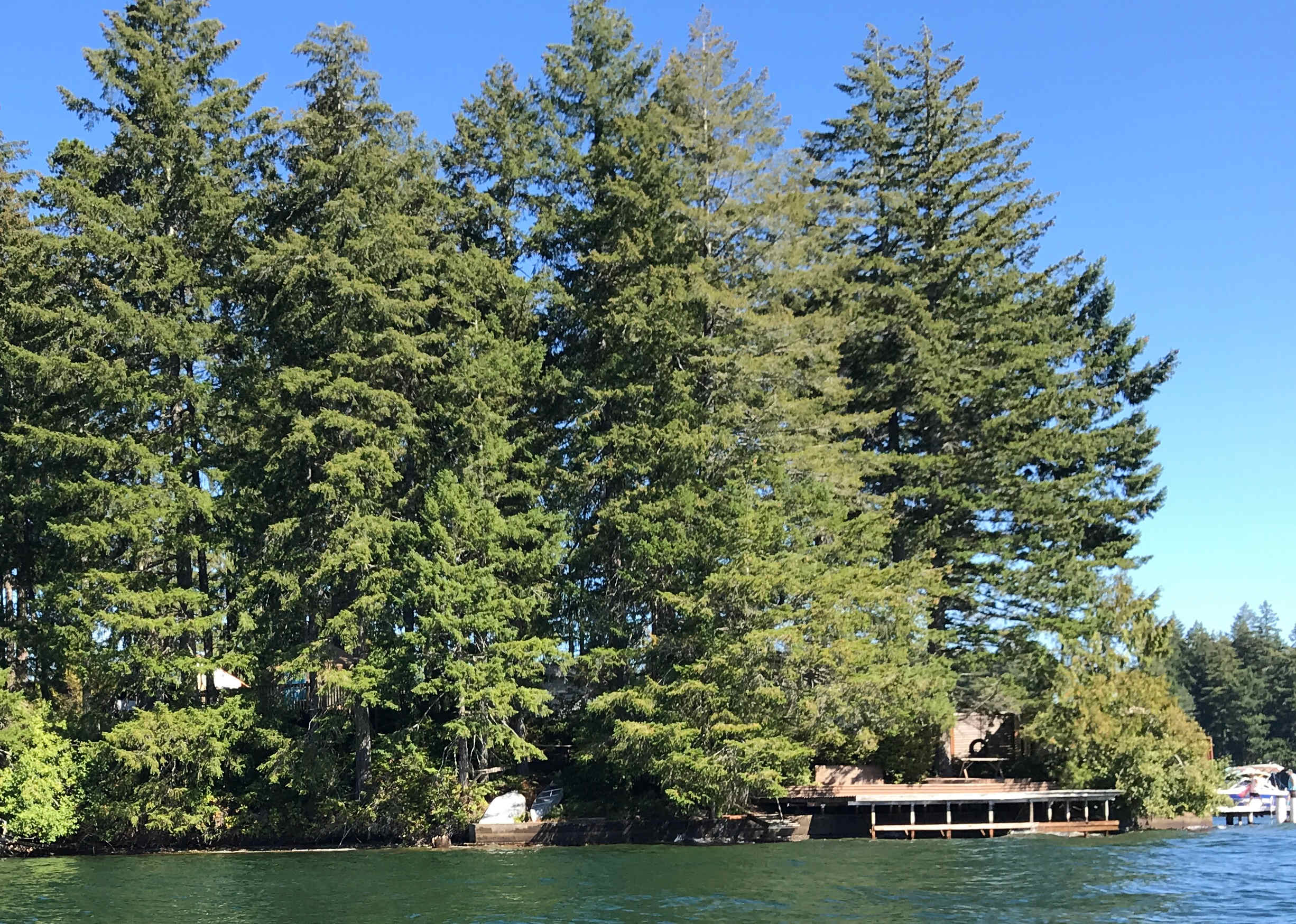 PNW Lakeside Yurt