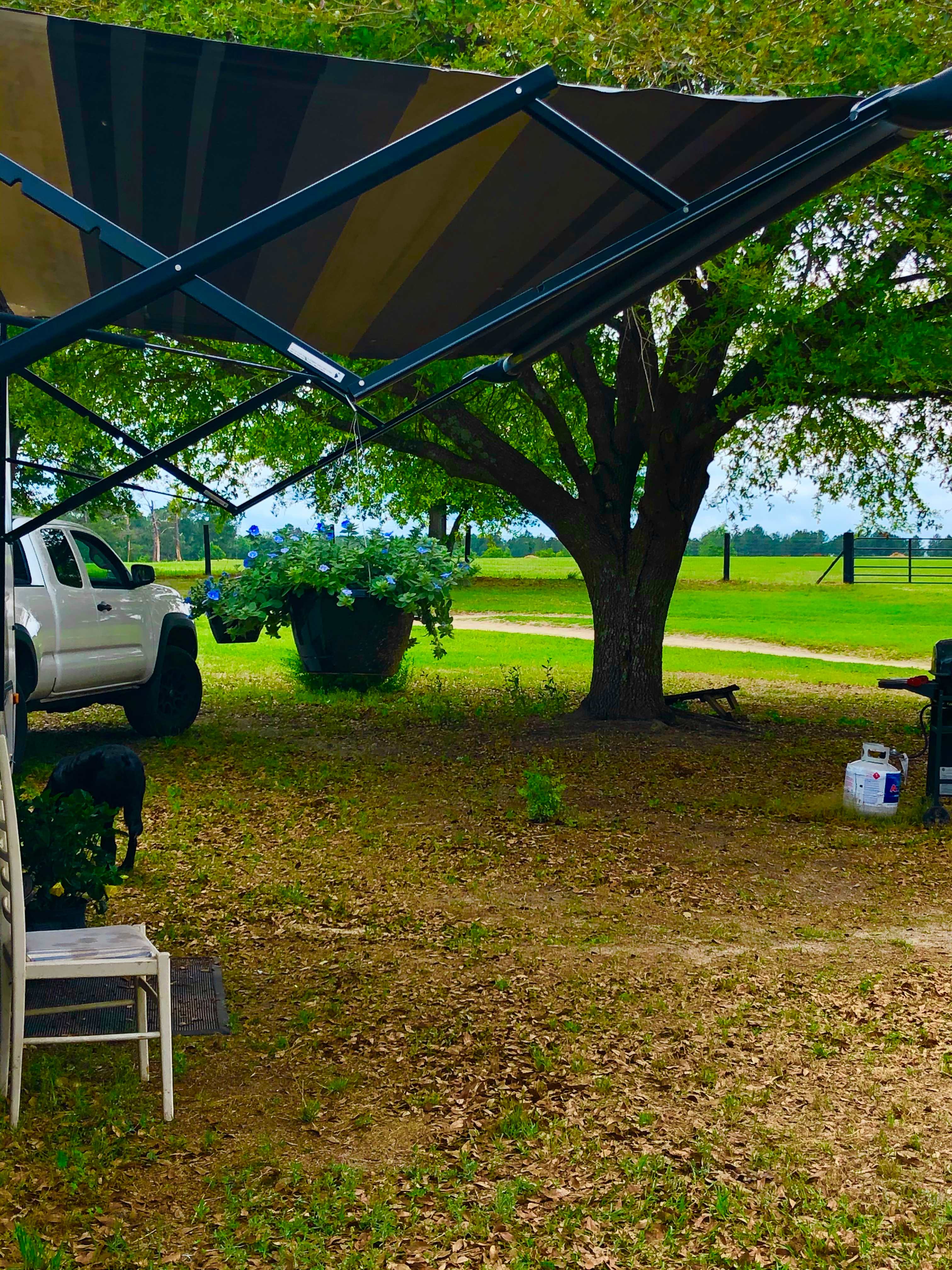 Beautiful 400 Acre Horse Farm