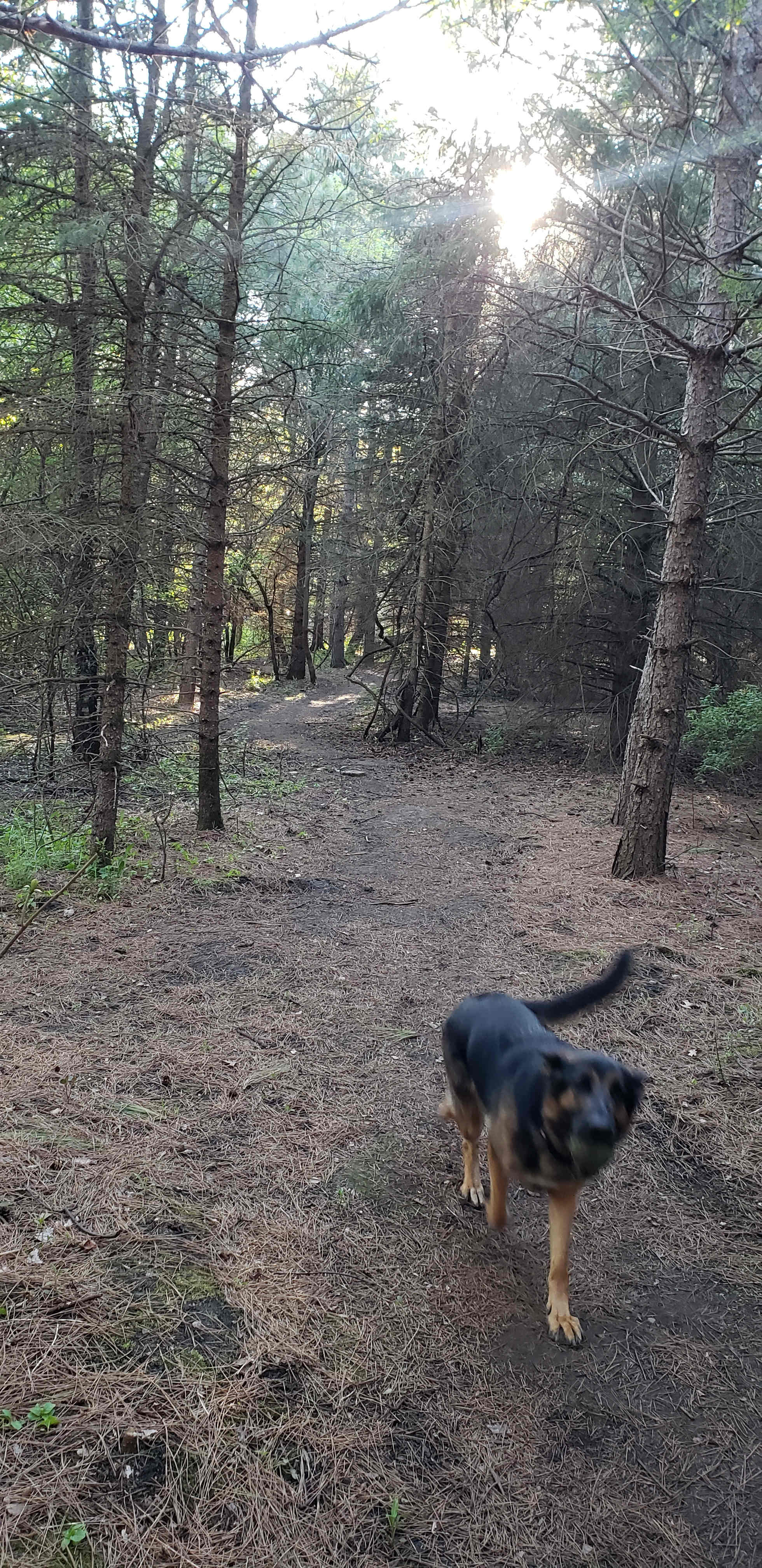 Prairie Creek Campground