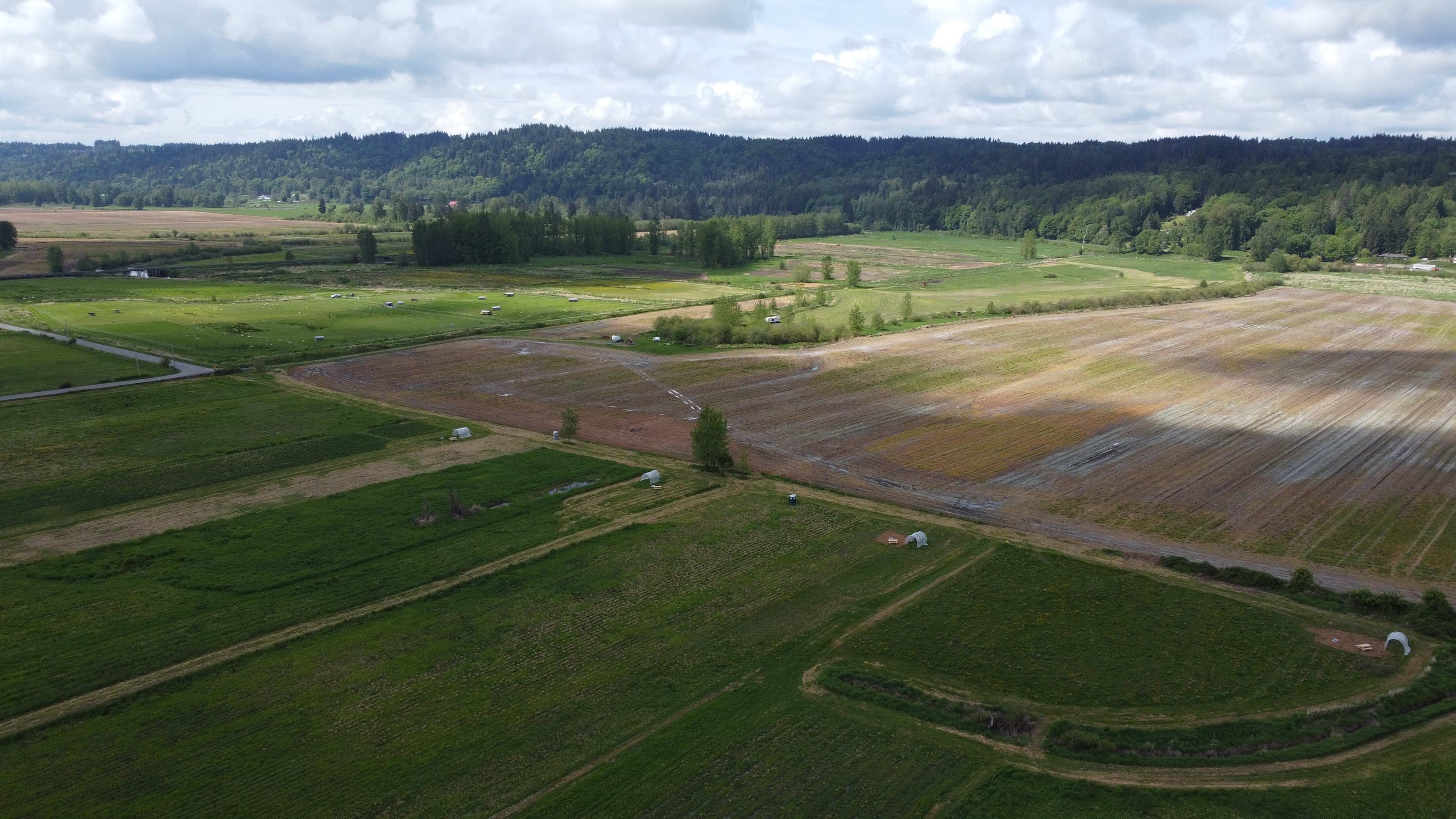 Sites from left to right #1 to #4