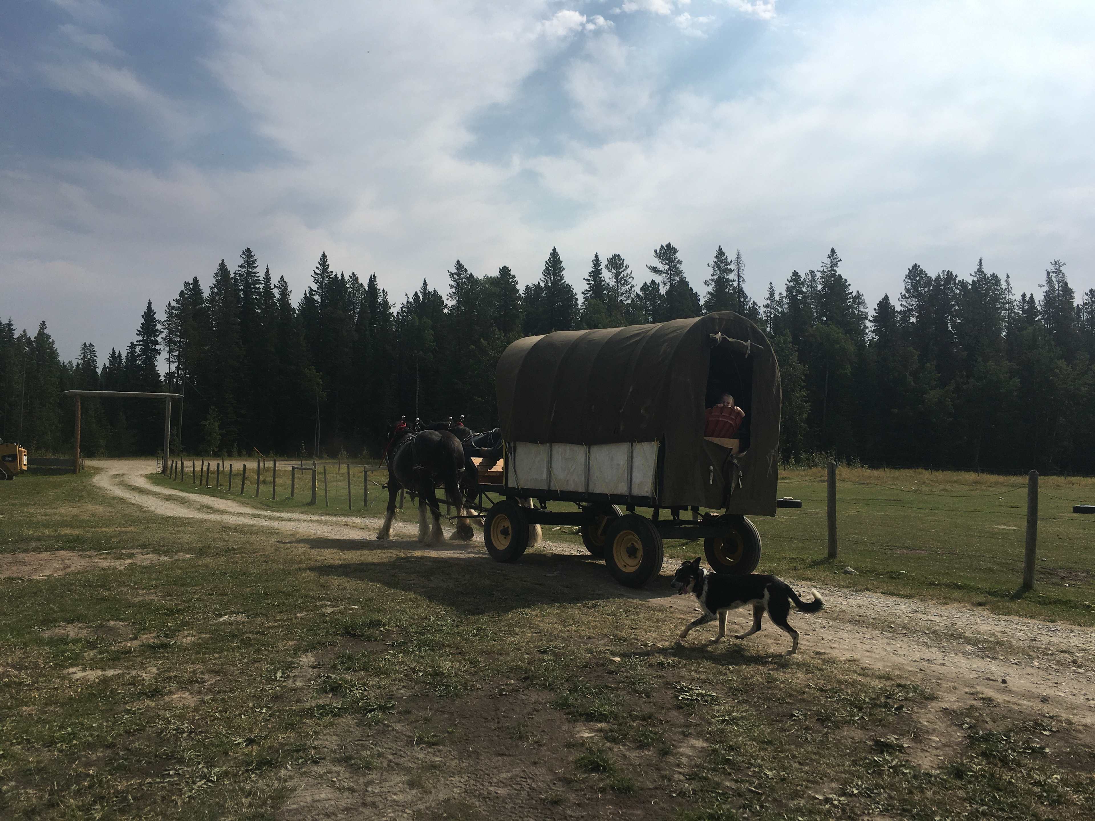 Rough Diamond Ranch Alberta