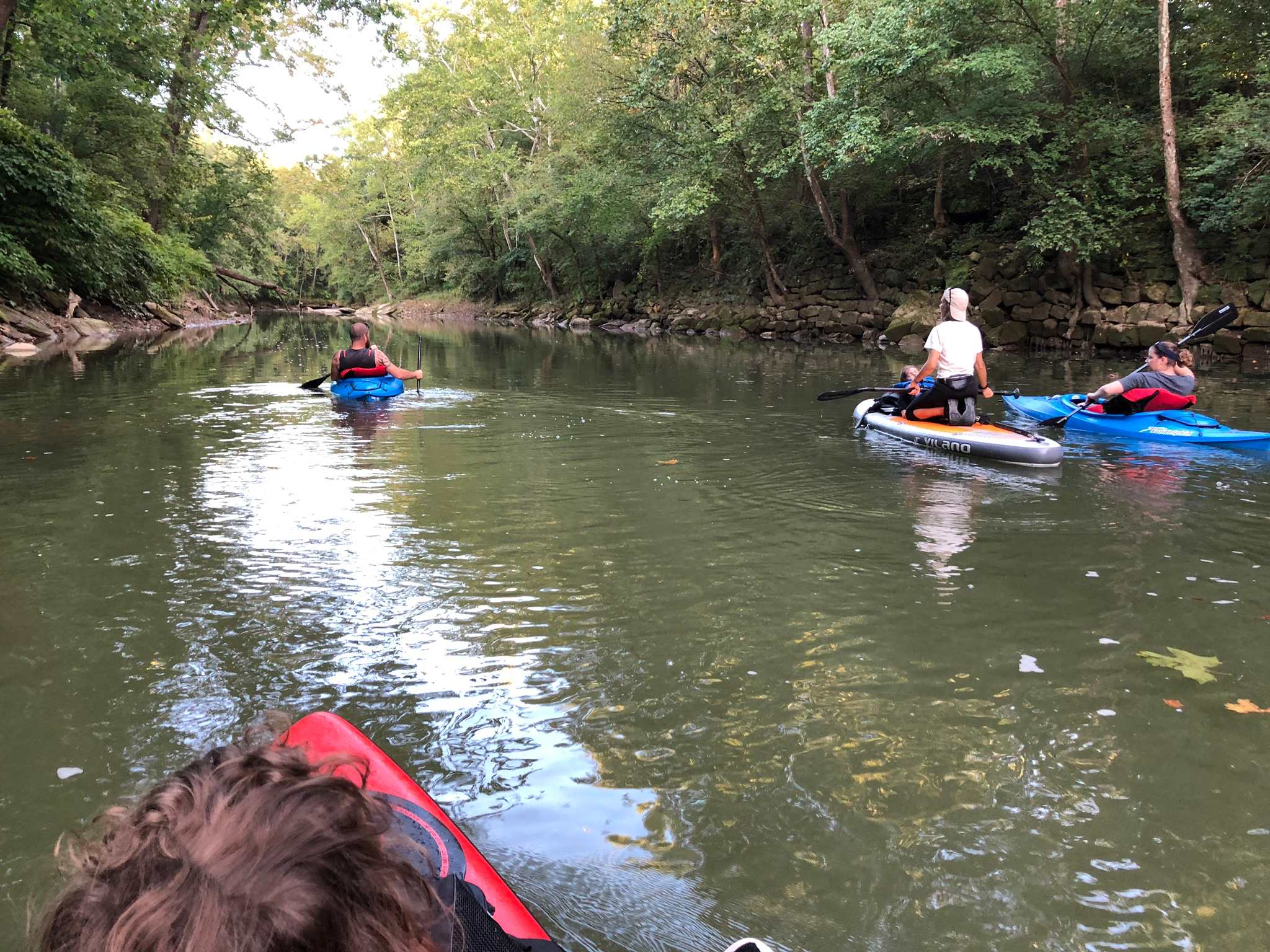Ferndell Springs