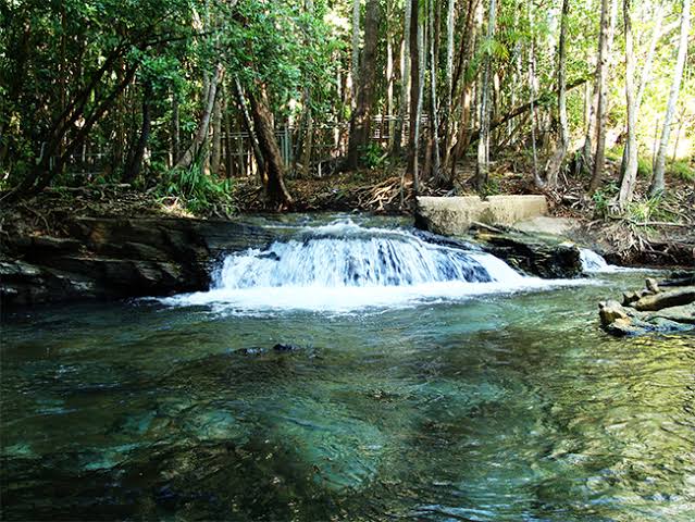 Berry Springs Nature Reserve, great for swimming just 5 mins away 