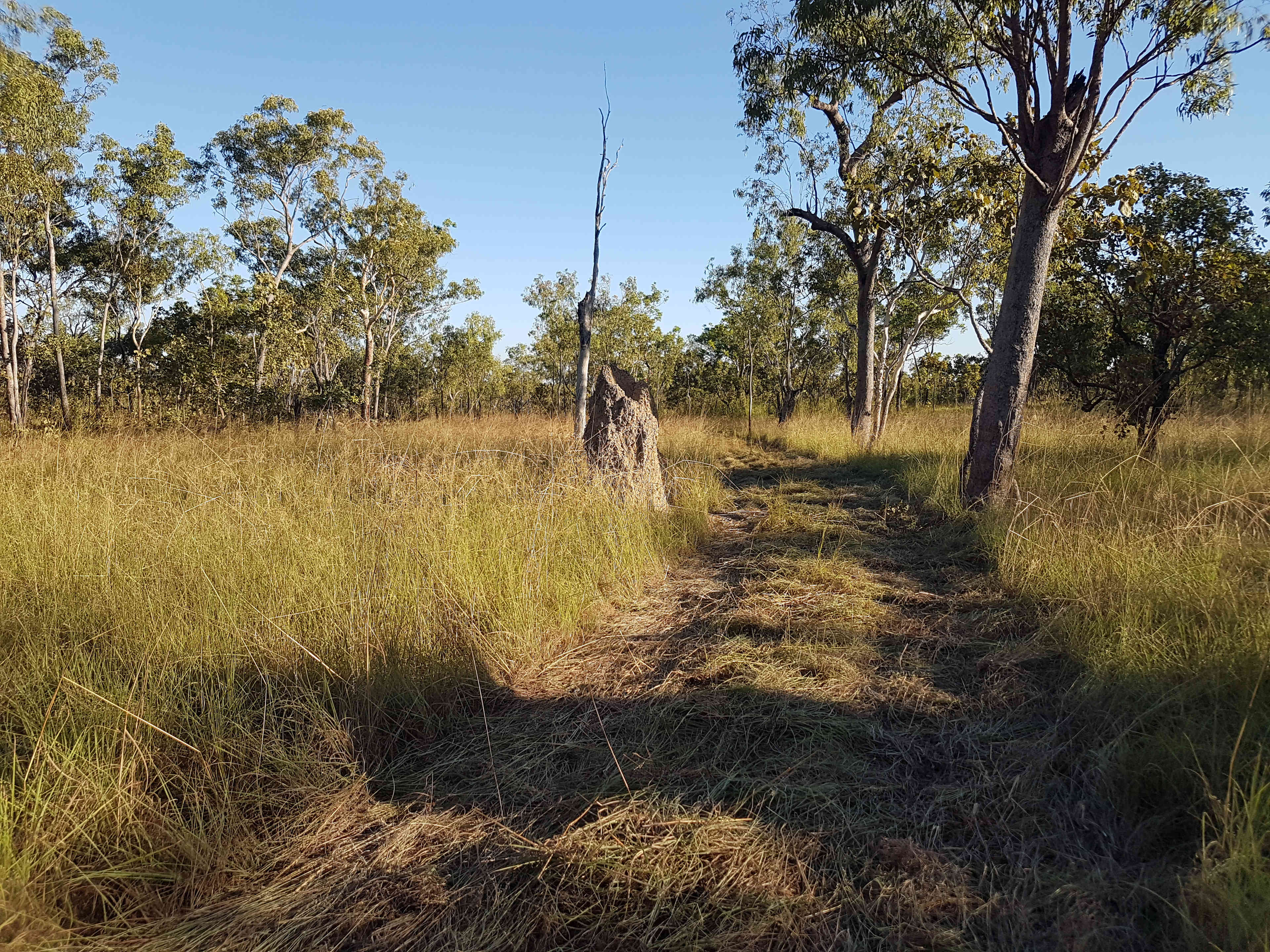 Natural NT Bush Camp