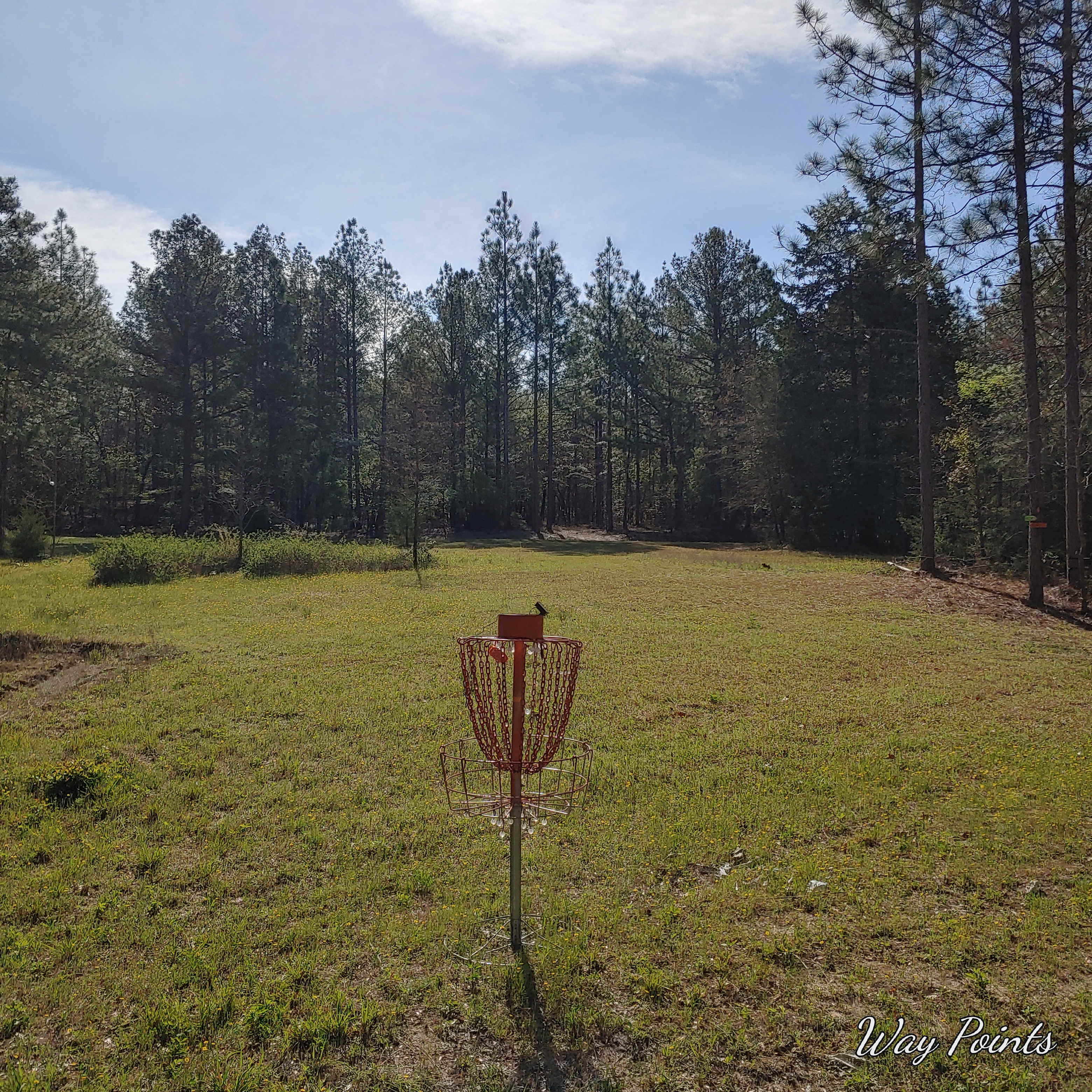 Camp, Mountain bike, Disc golf.