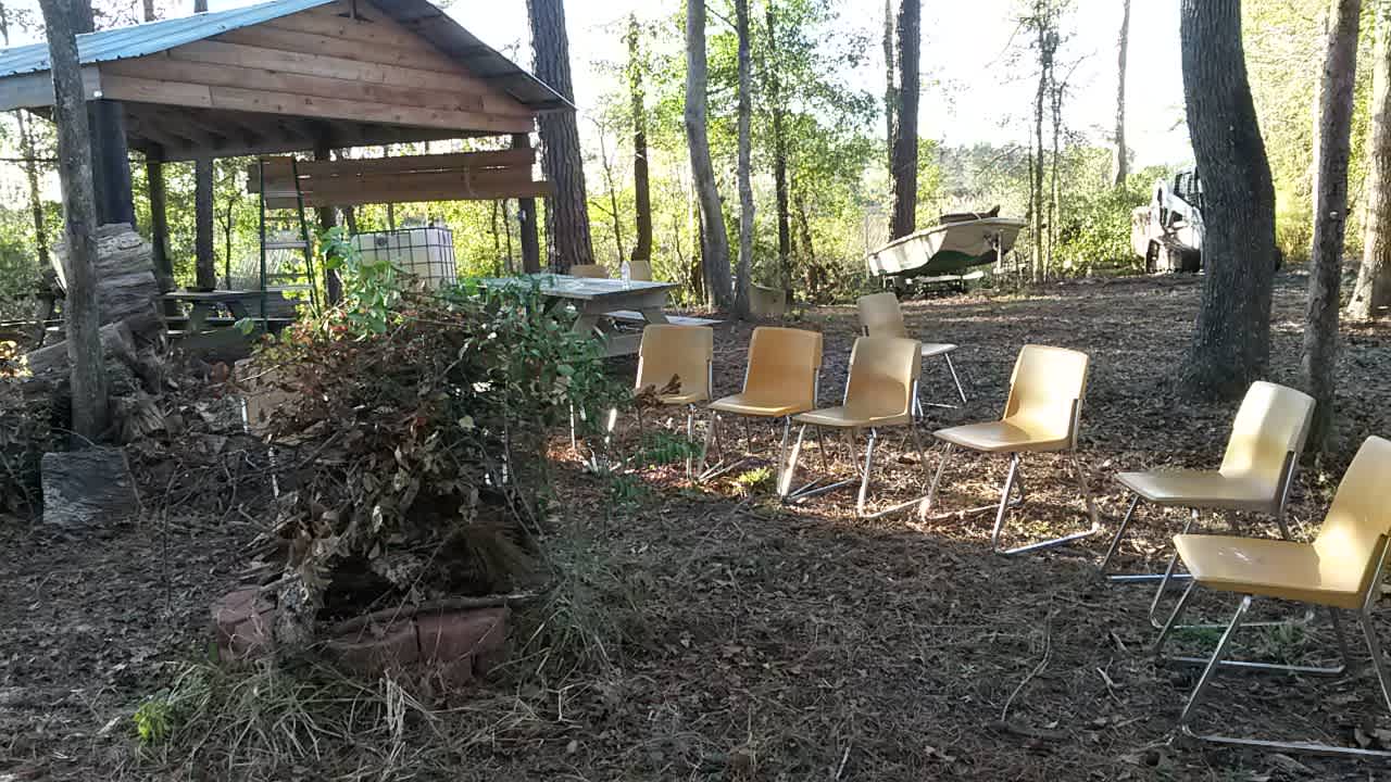 Primitive with mature trees