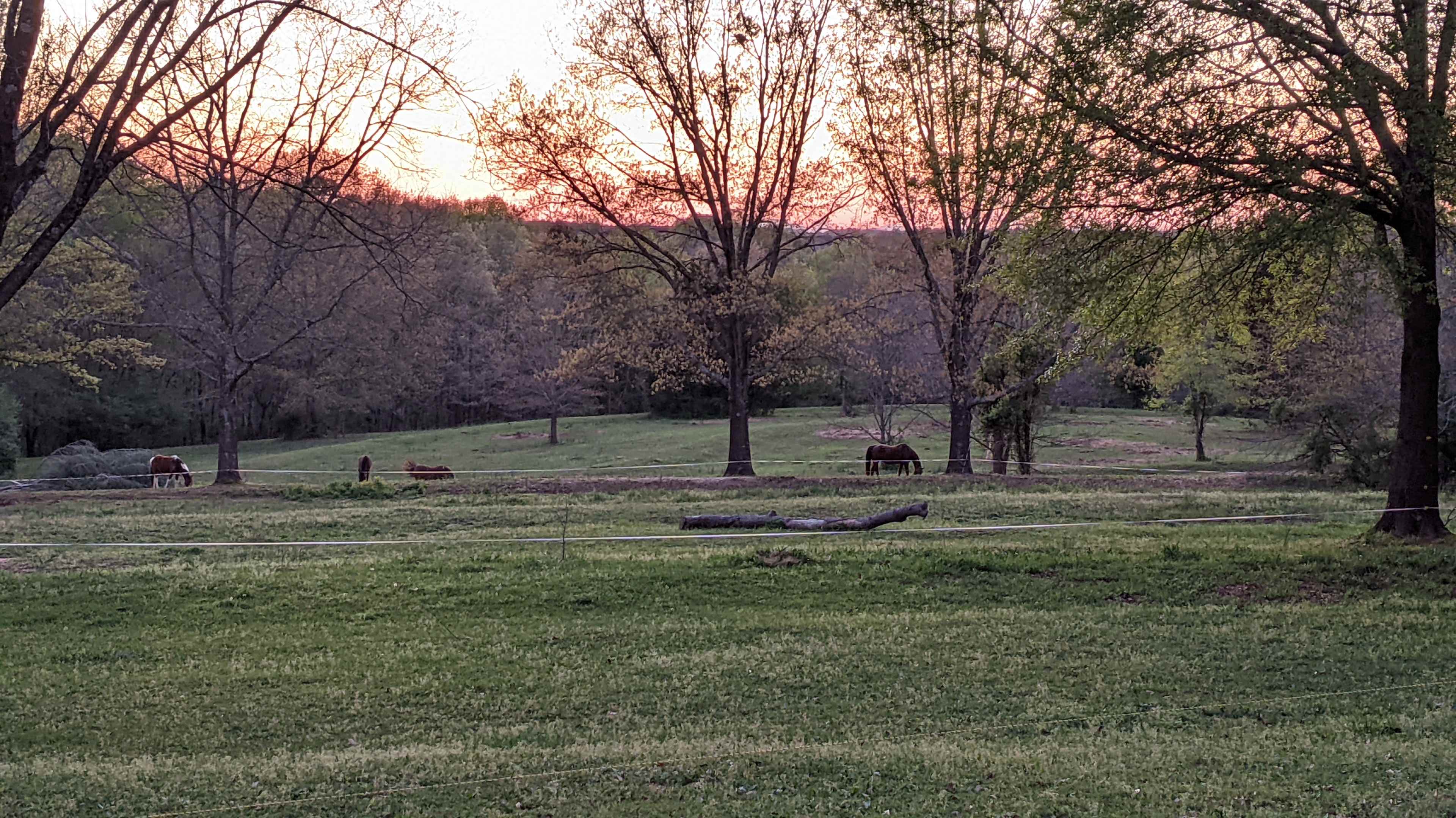 Oak Creek Horse Farm