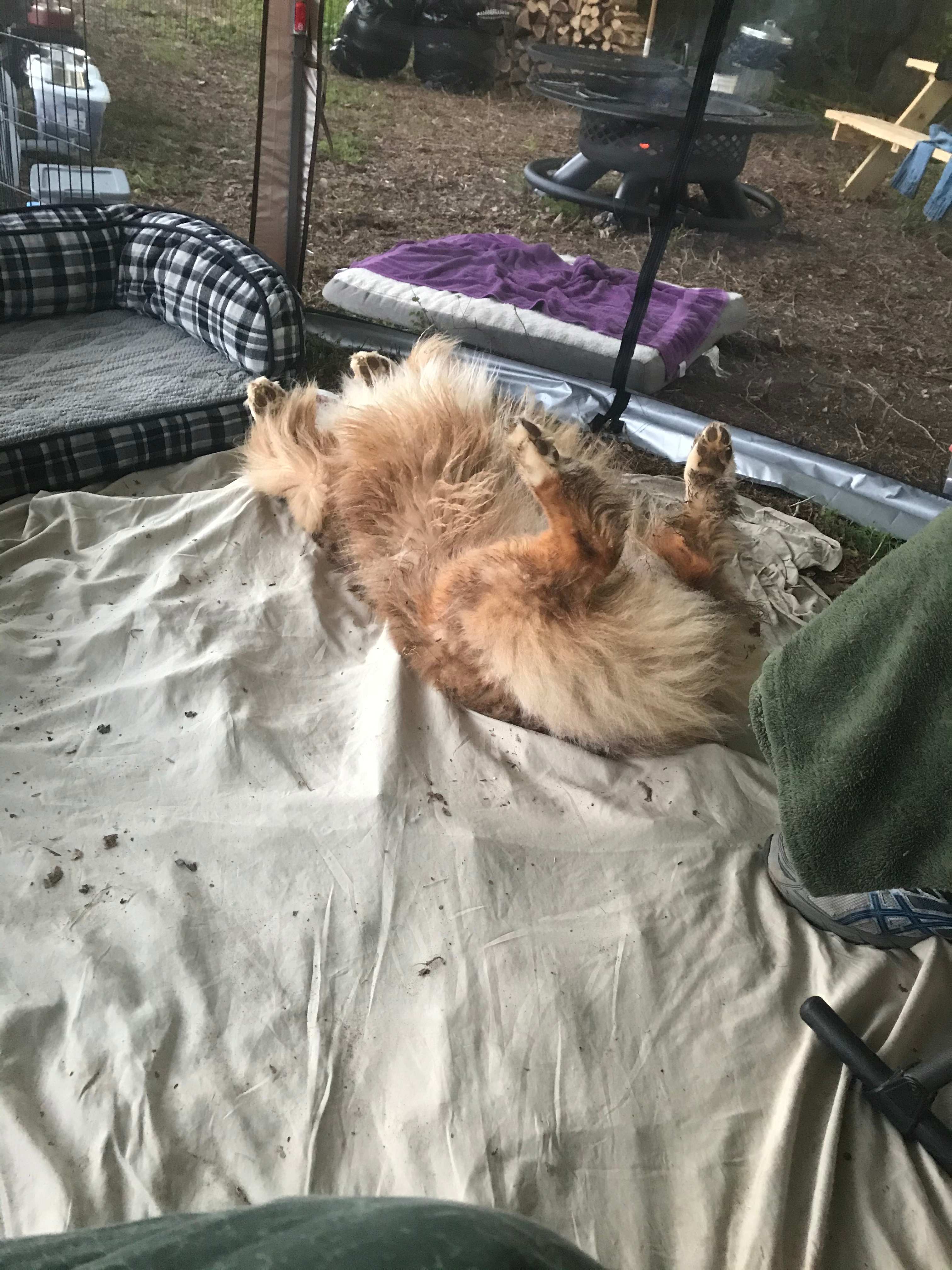 As comfy as home