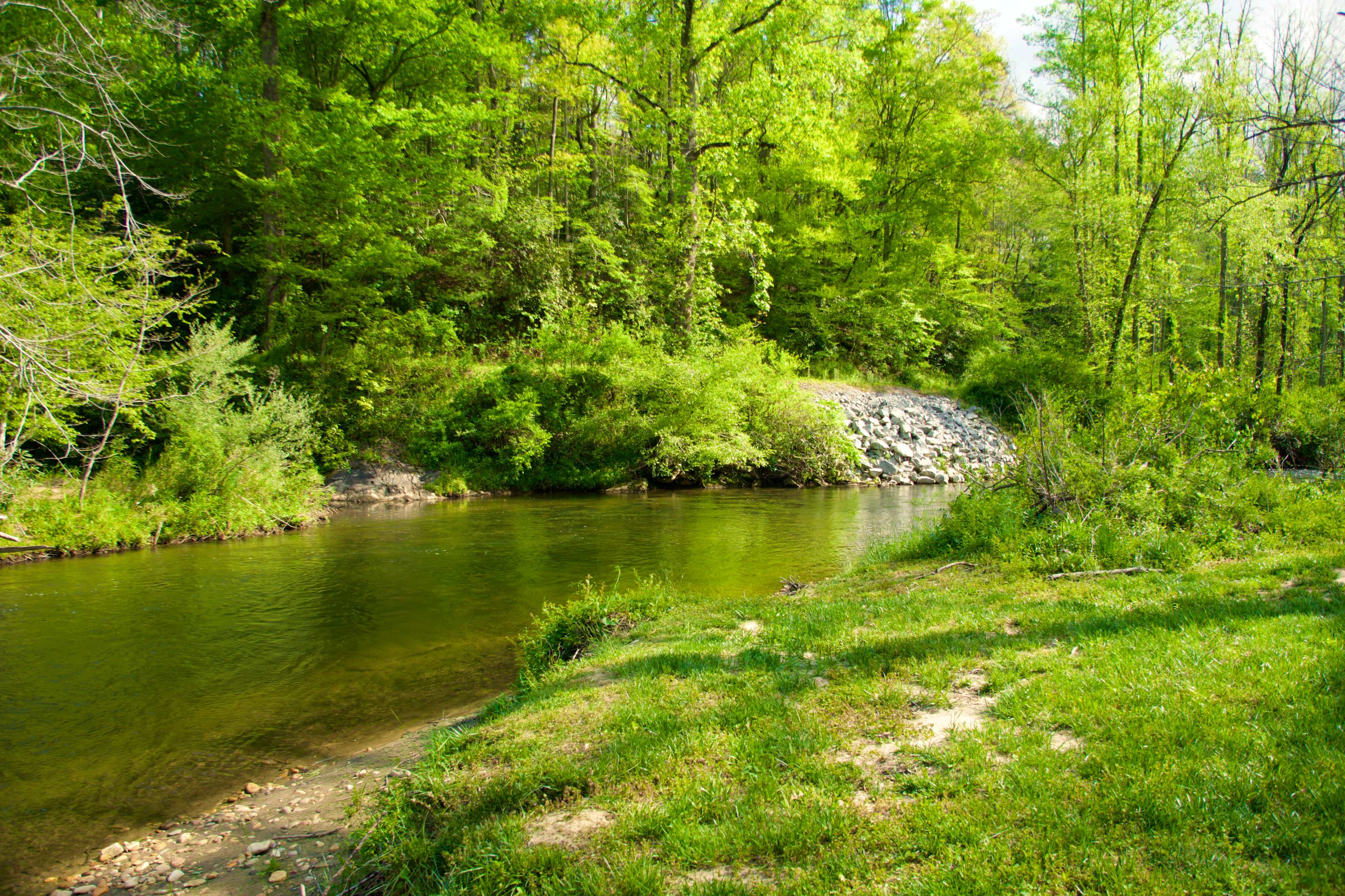 Site #3 river access
