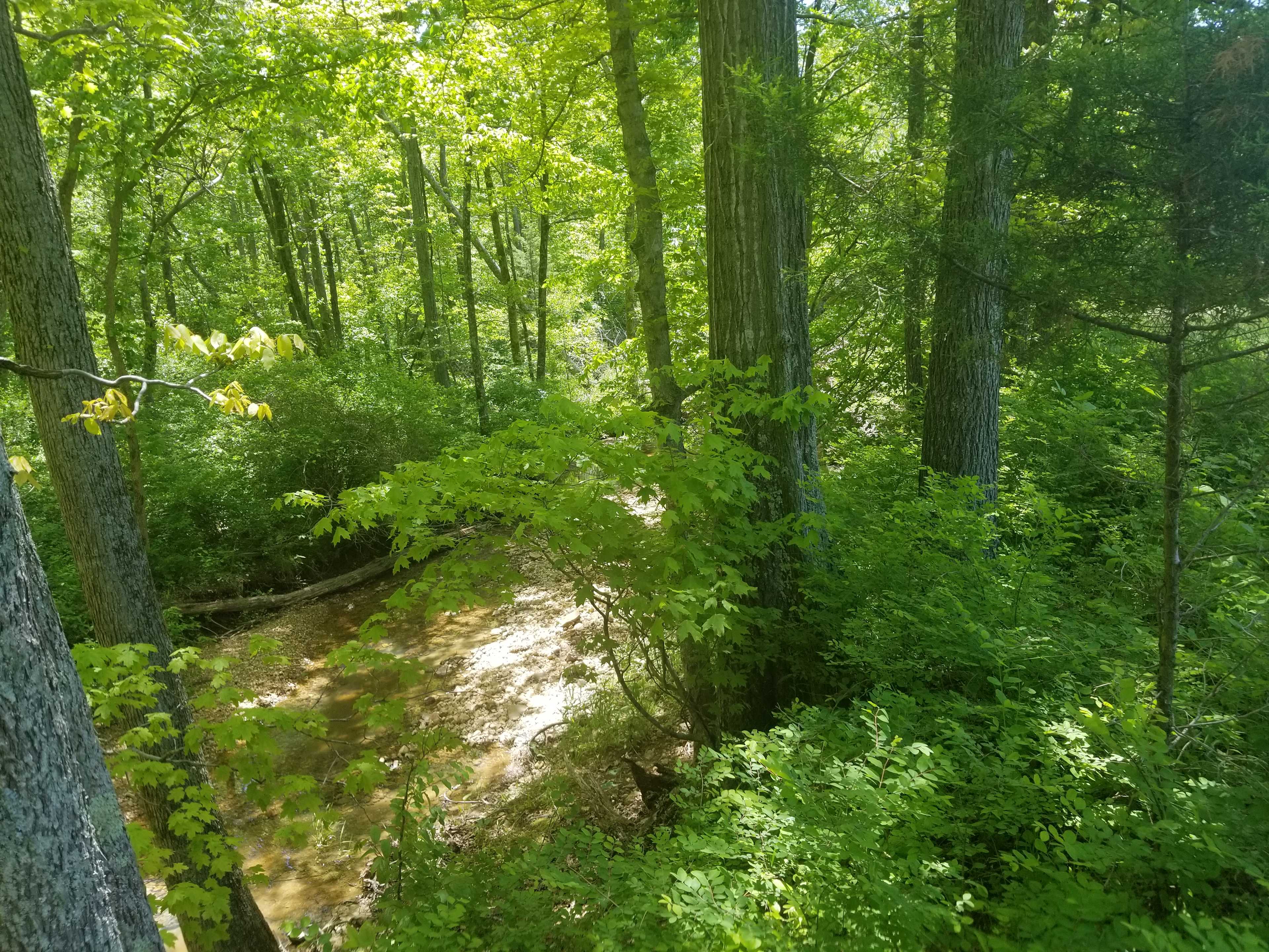 Lost  acres