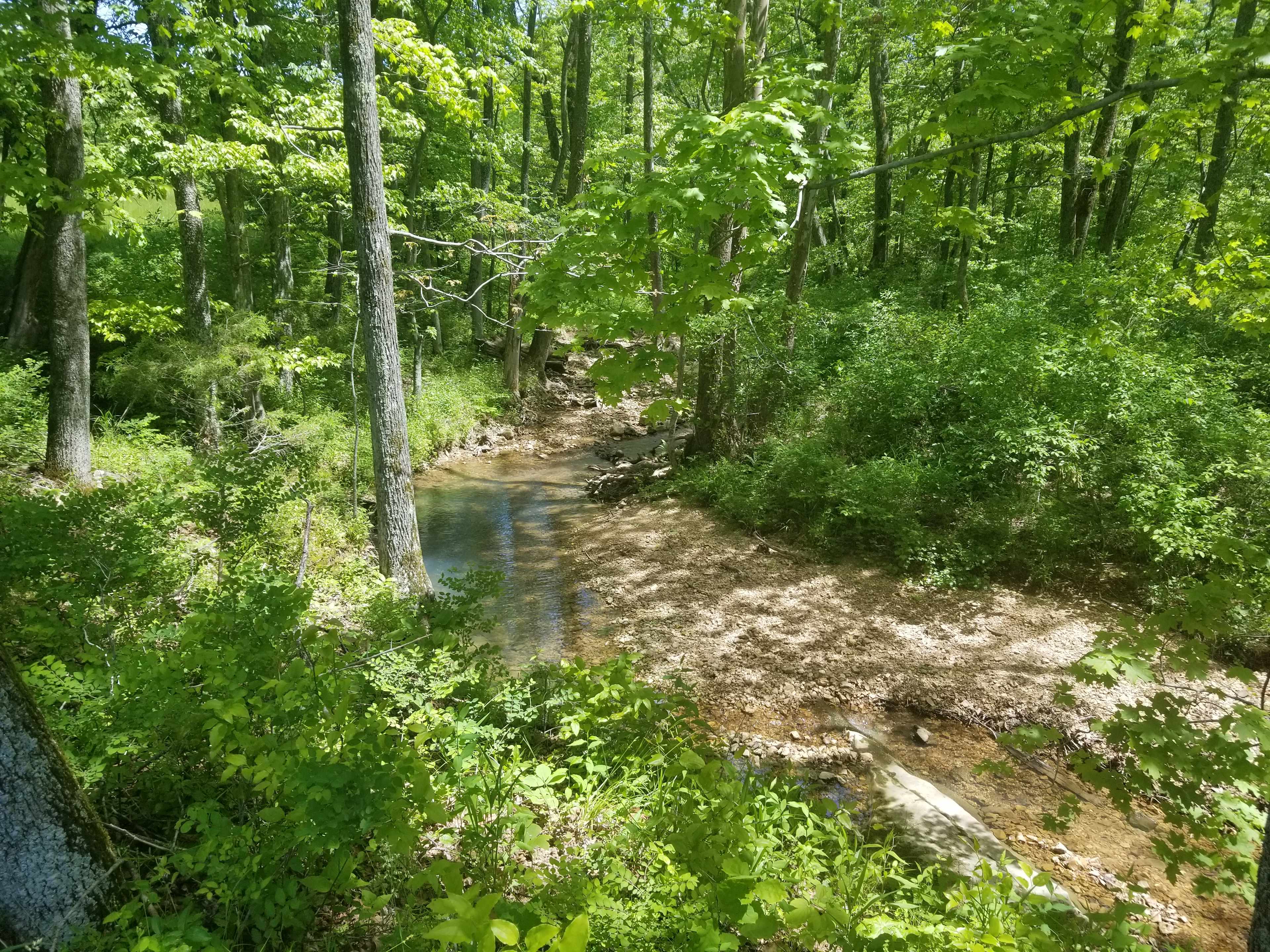 Lost  acres