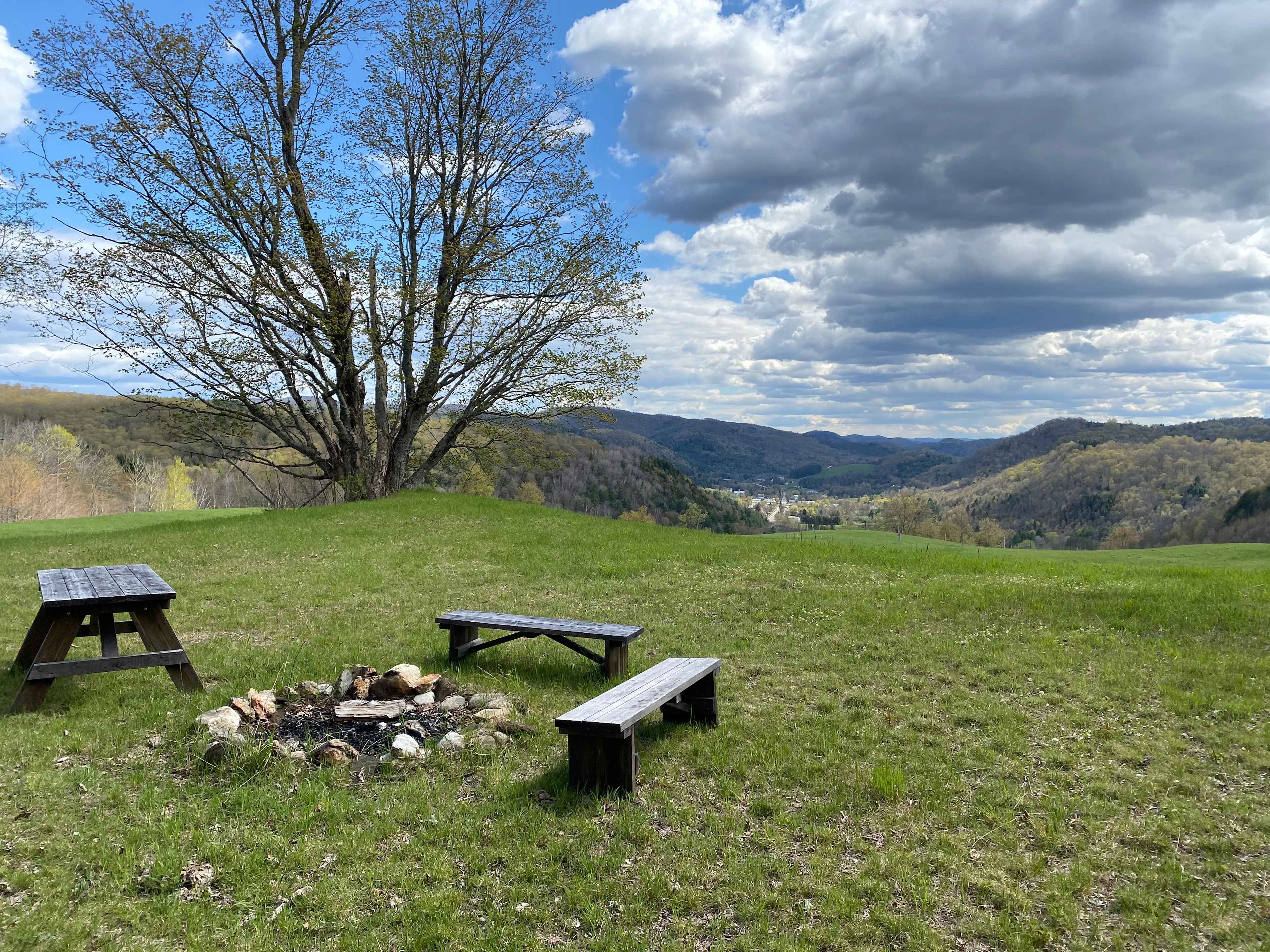 Picture of the site