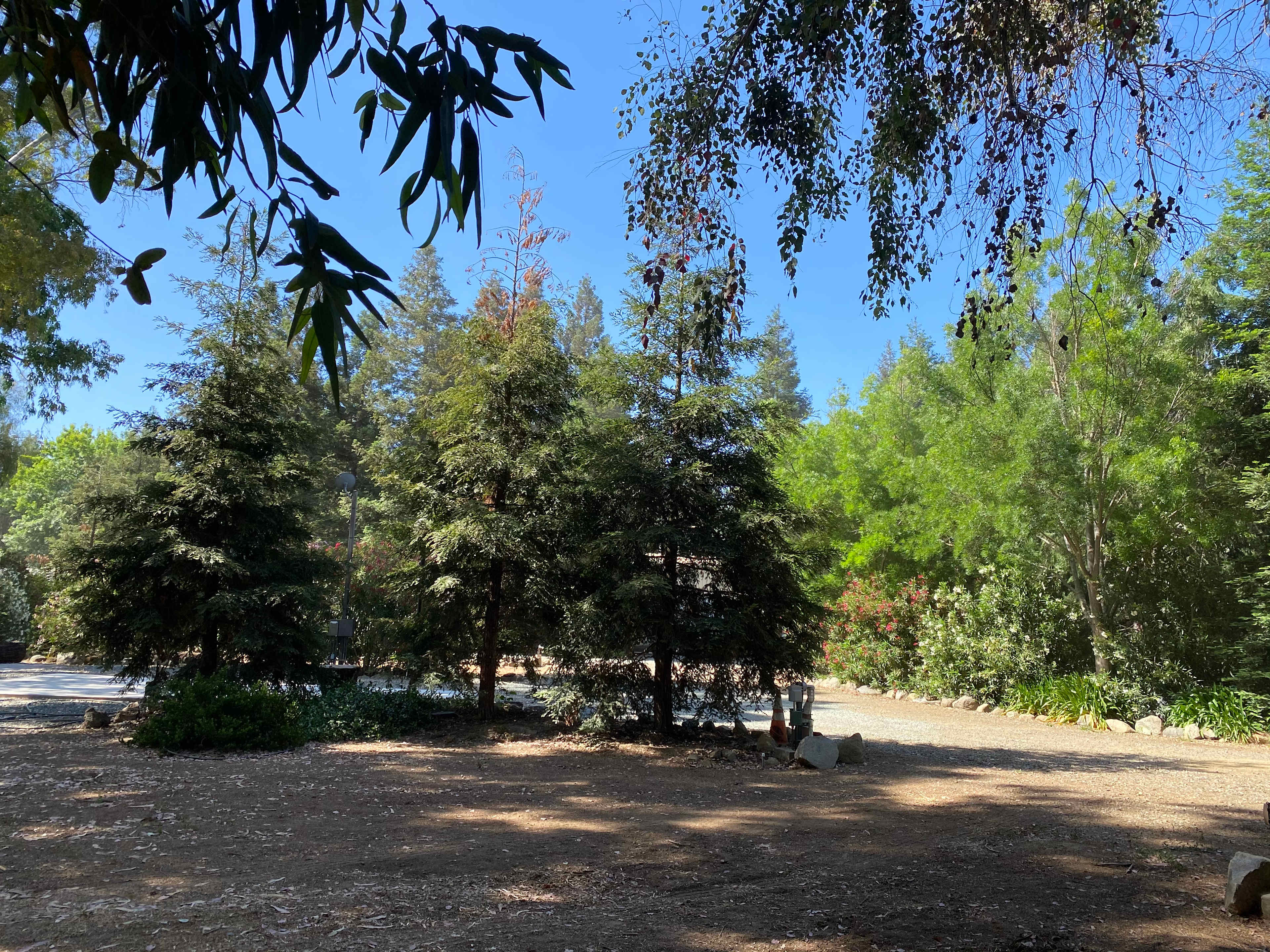 Redwood Haven