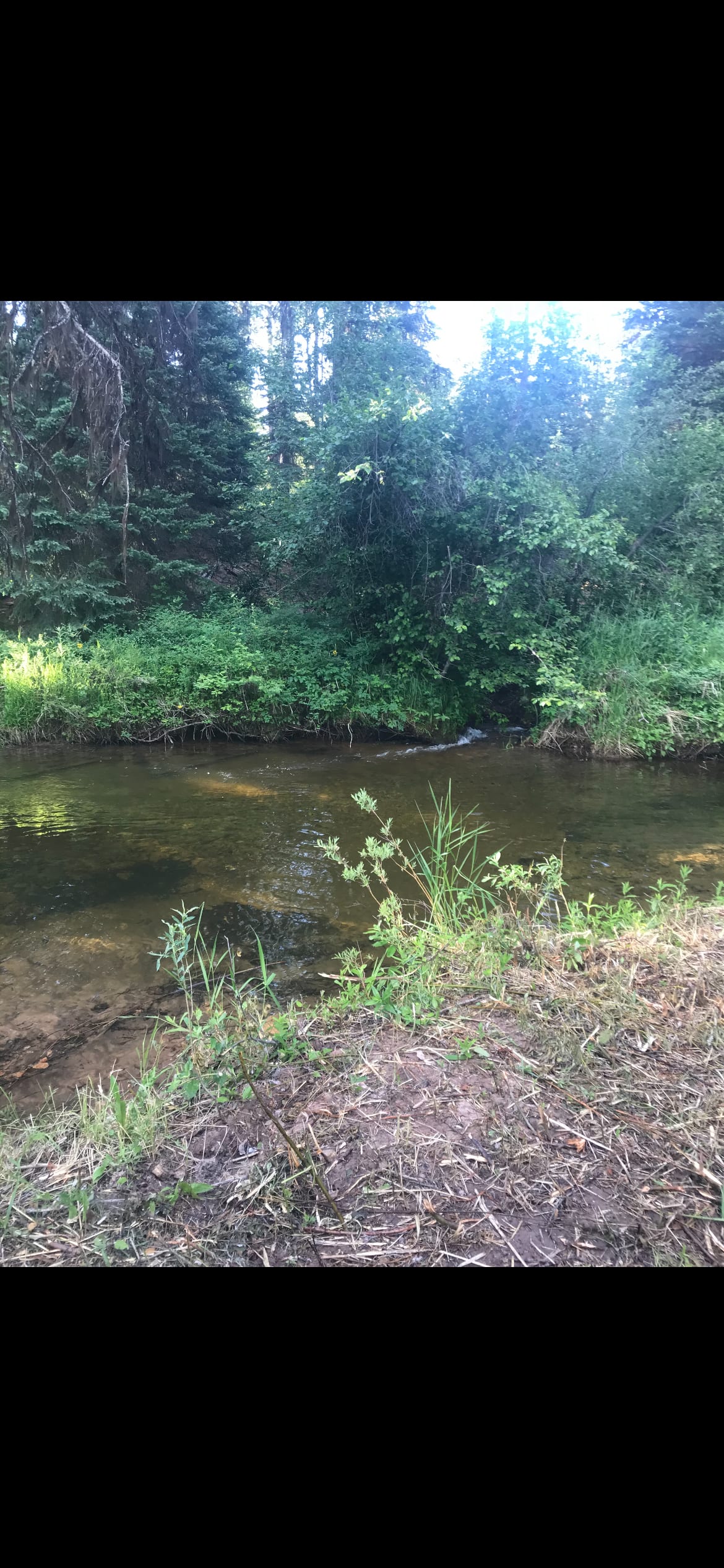 Buck’s Paradise