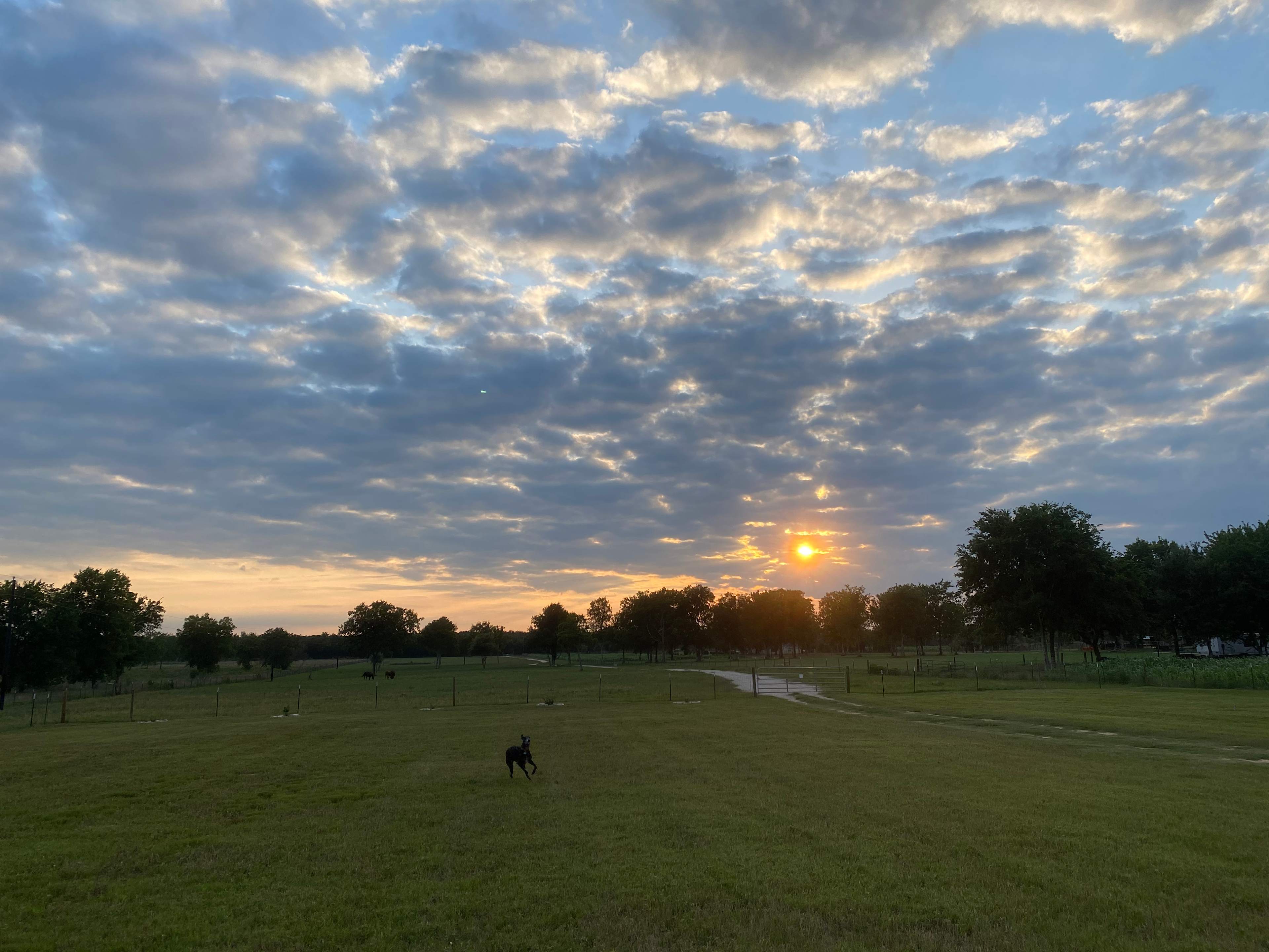 Sunset 