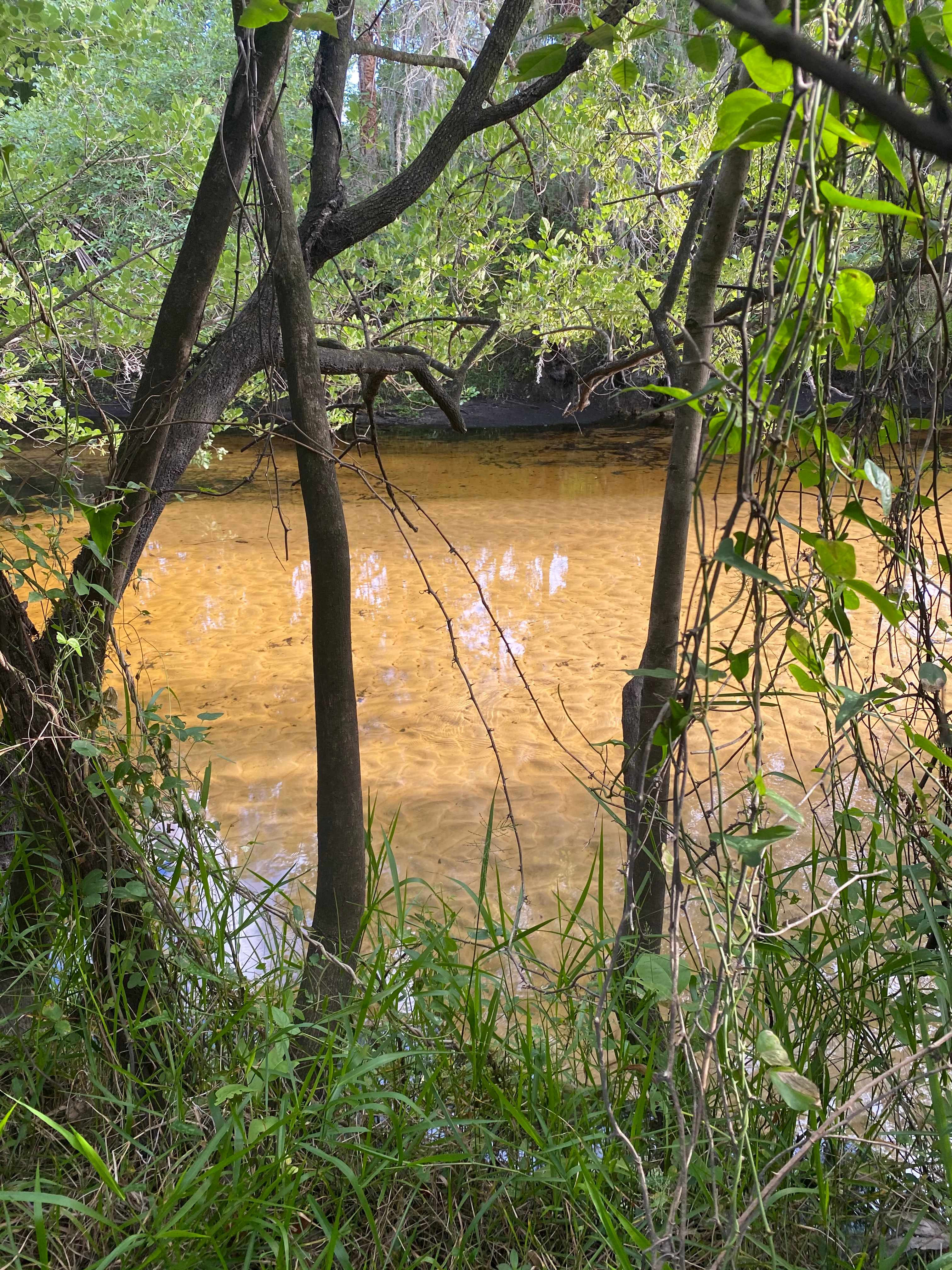 Sandy Bottom River Retreat