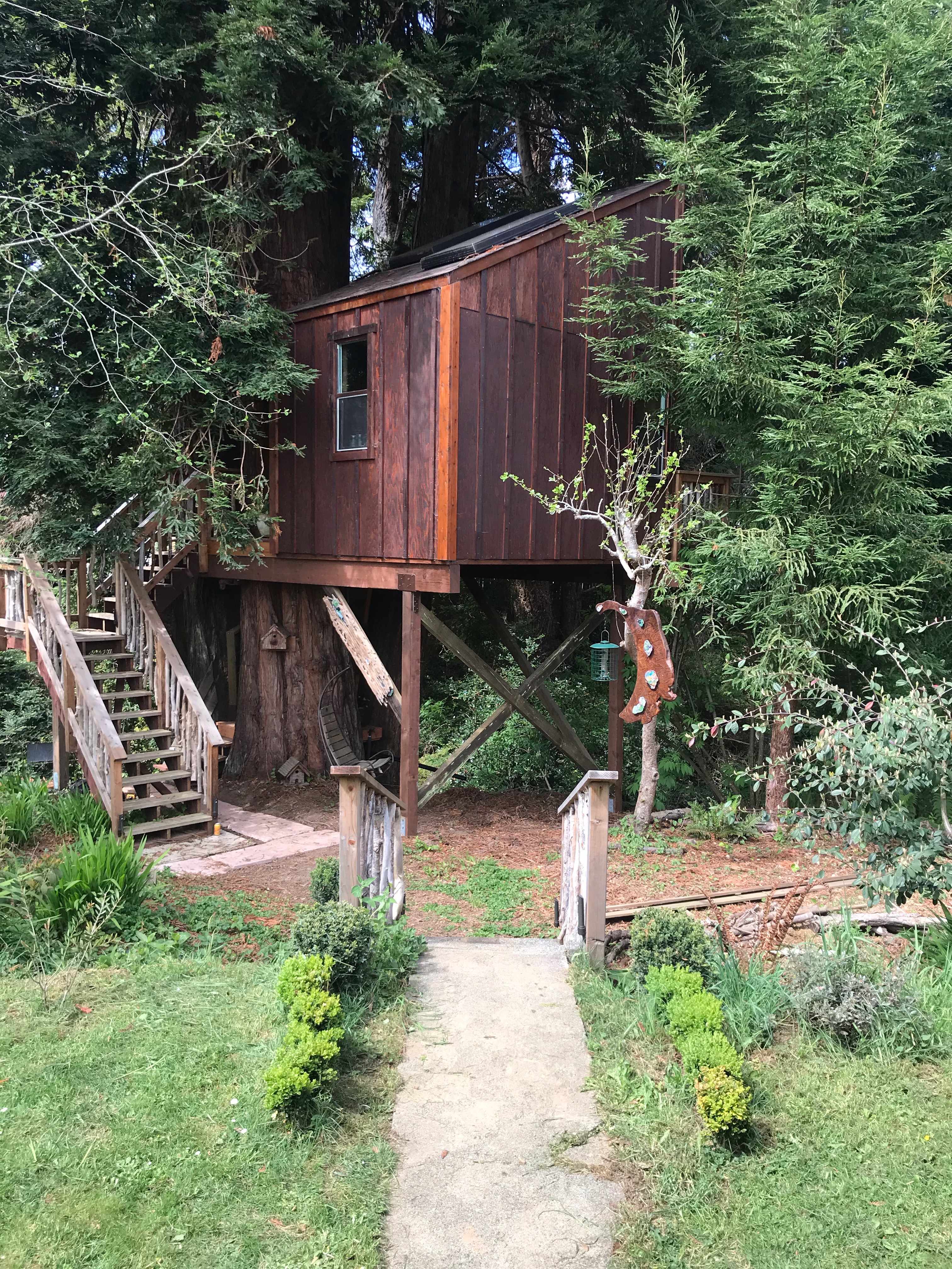 13th St Tree House