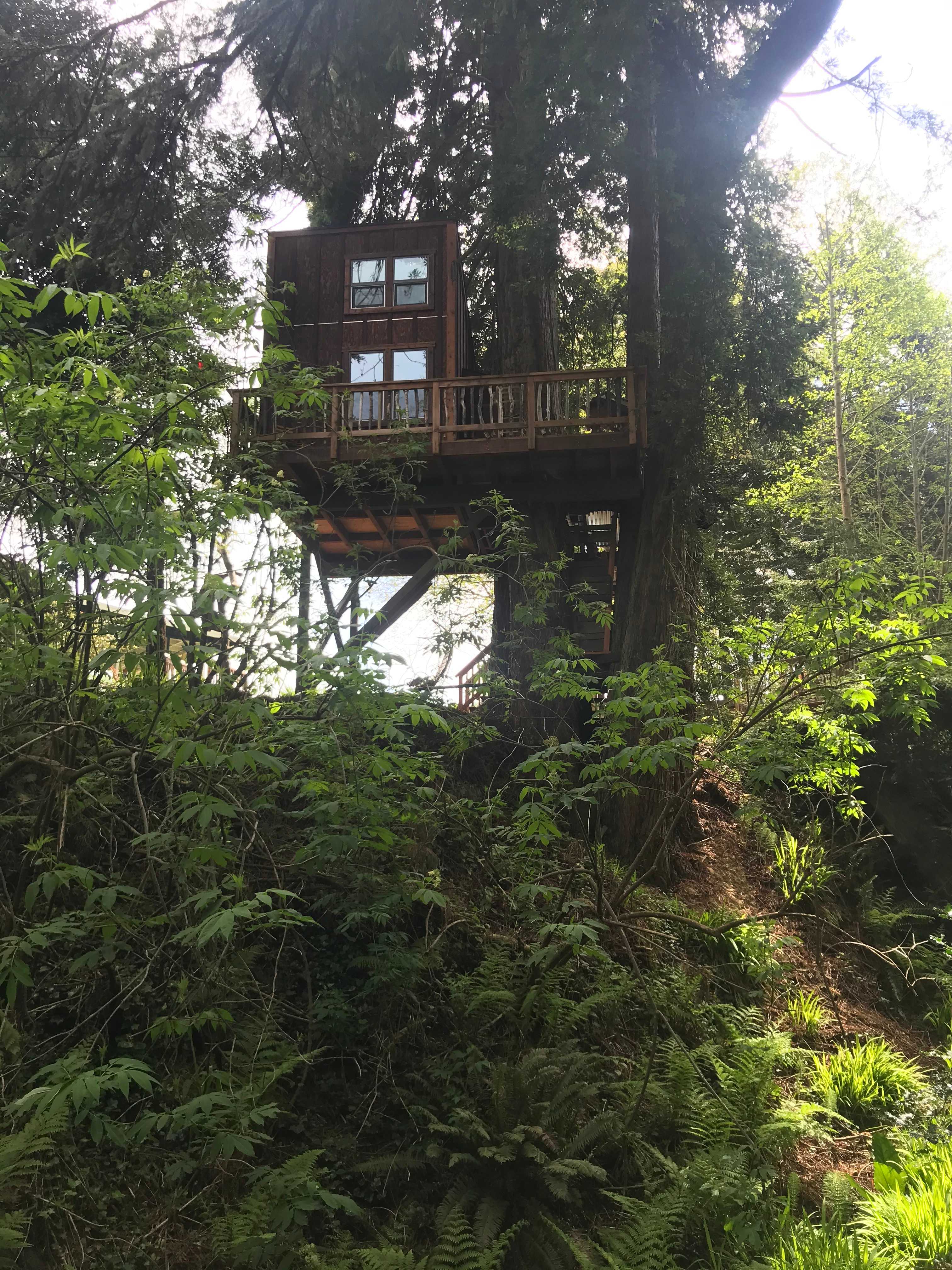 13th St Tree House