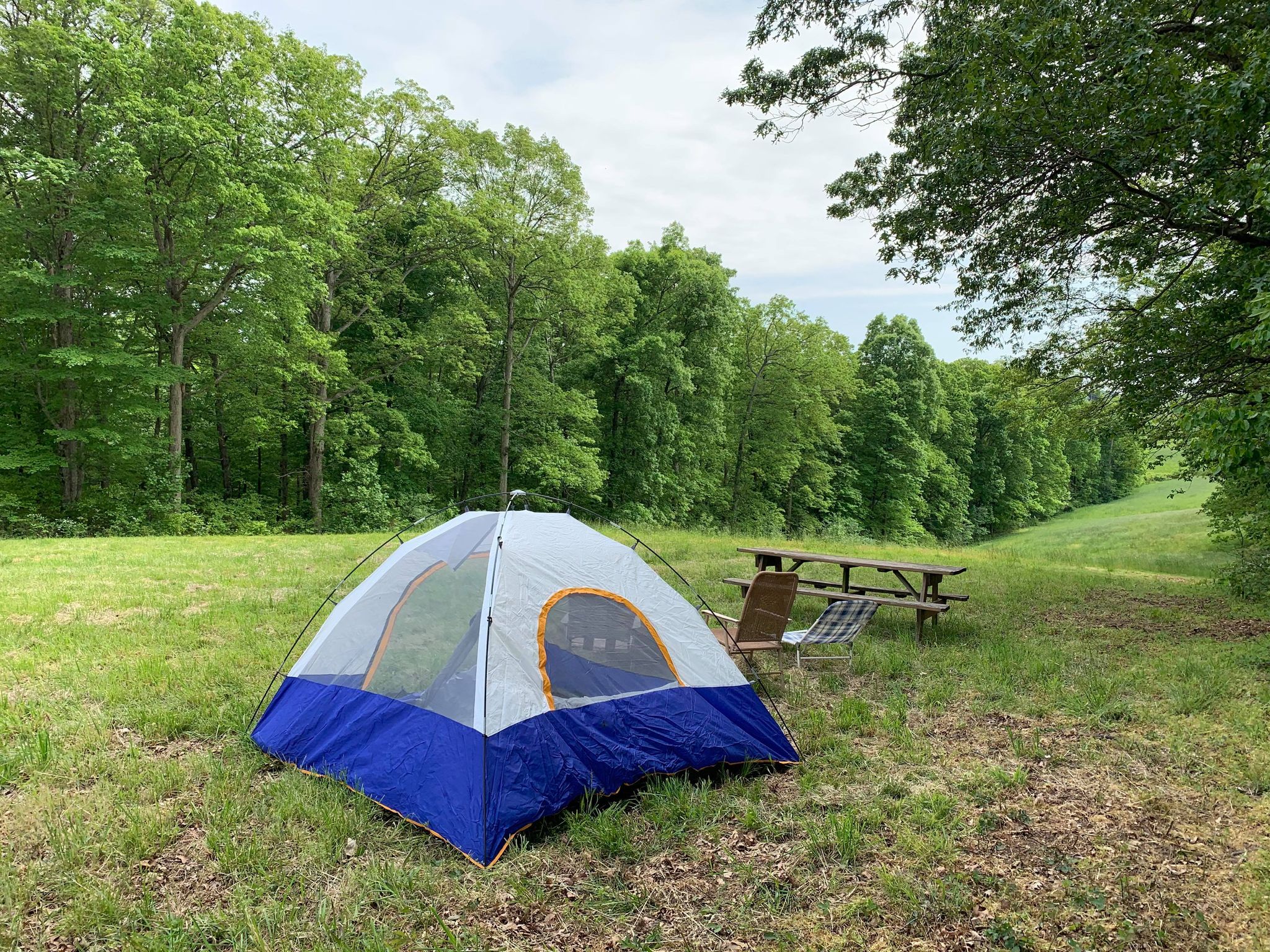 Our campsite in the woods. (tent camping only)