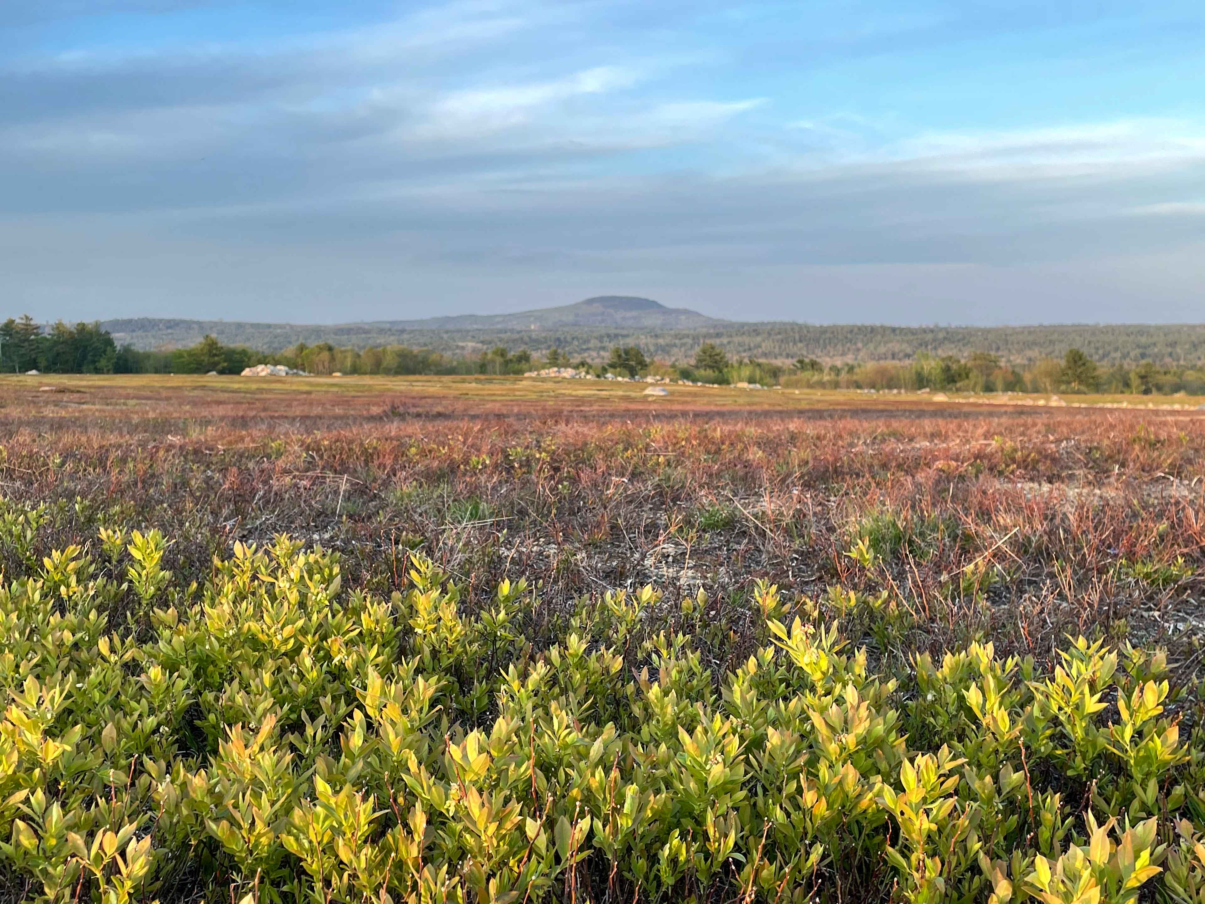 View of Blue Hill Mountain from your site