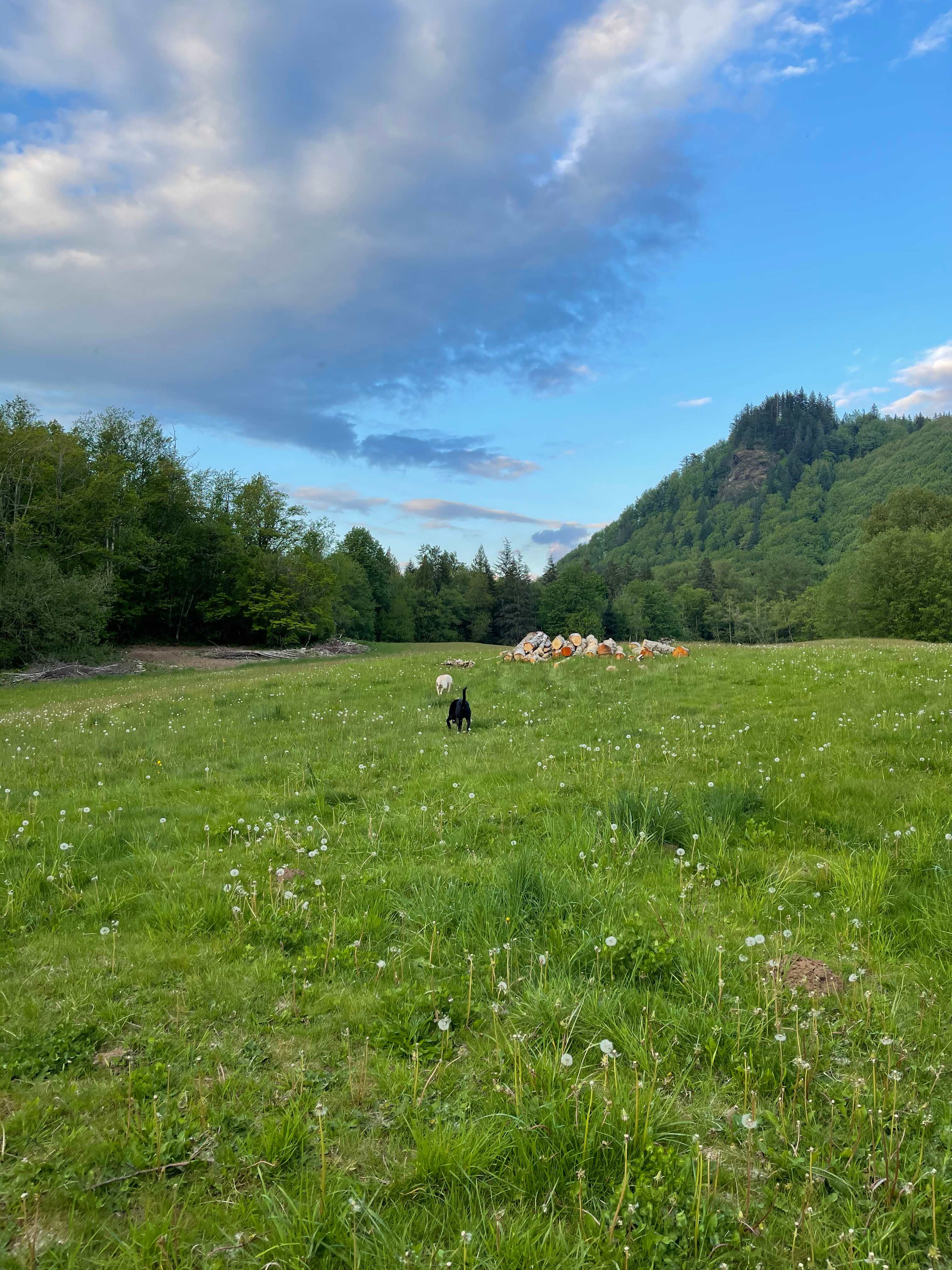 Evergrin Shire