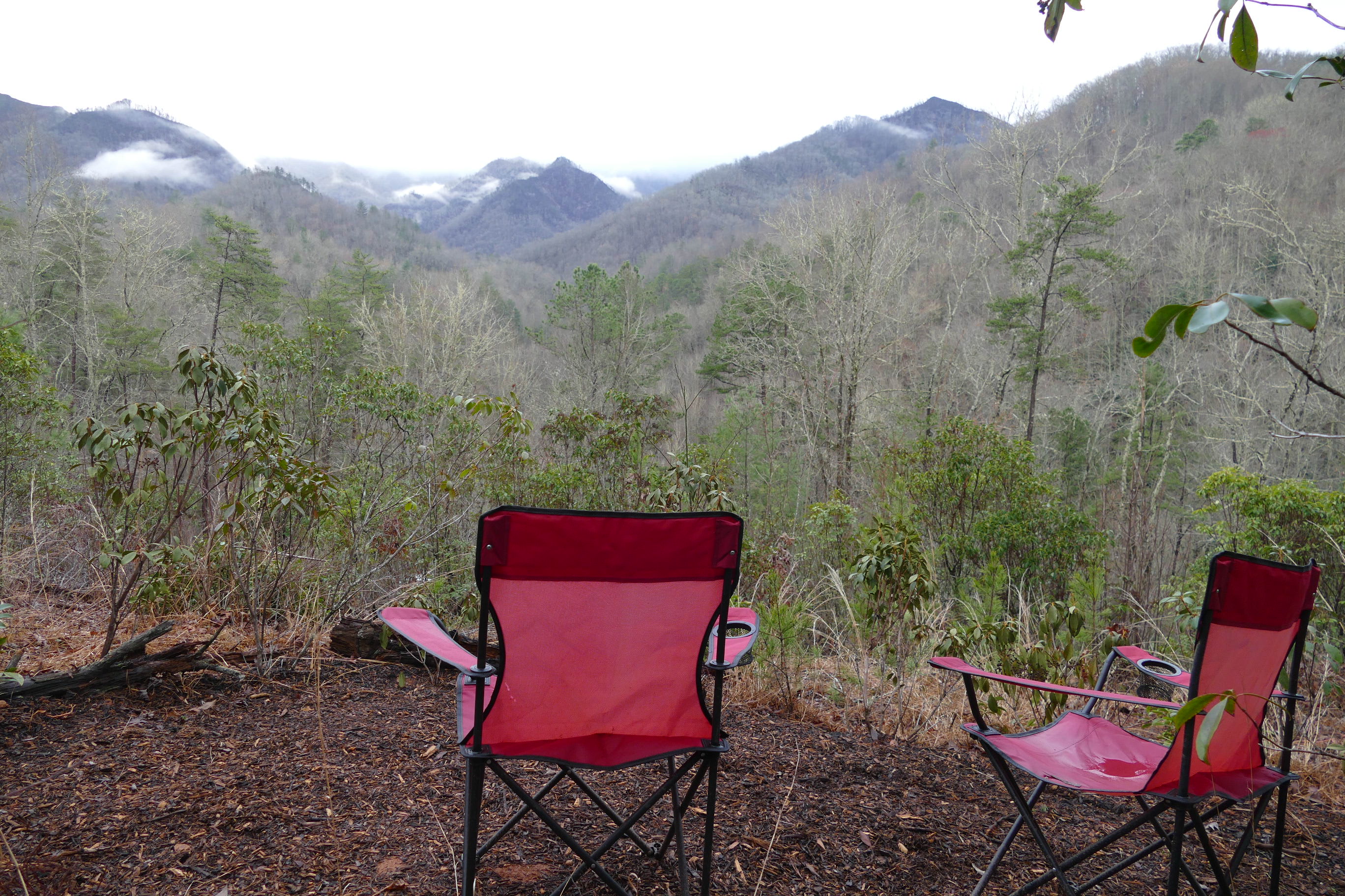 Martin's Nest Nantahala