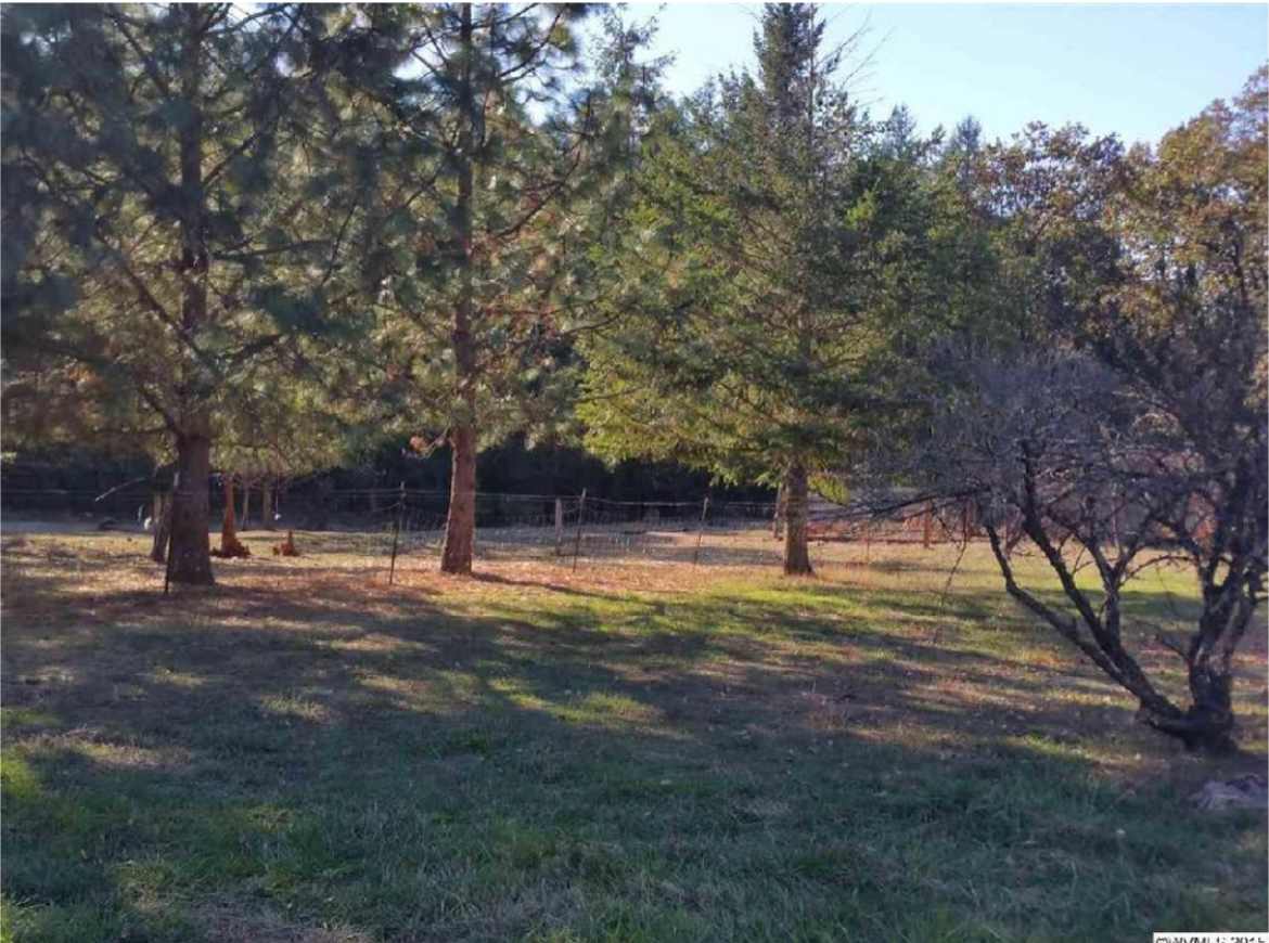 Chad K.’s Tree Farm