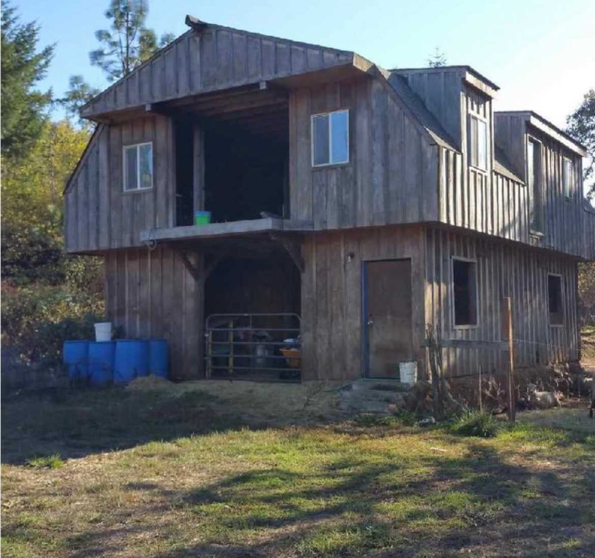 Chad K.’s Tree Farm