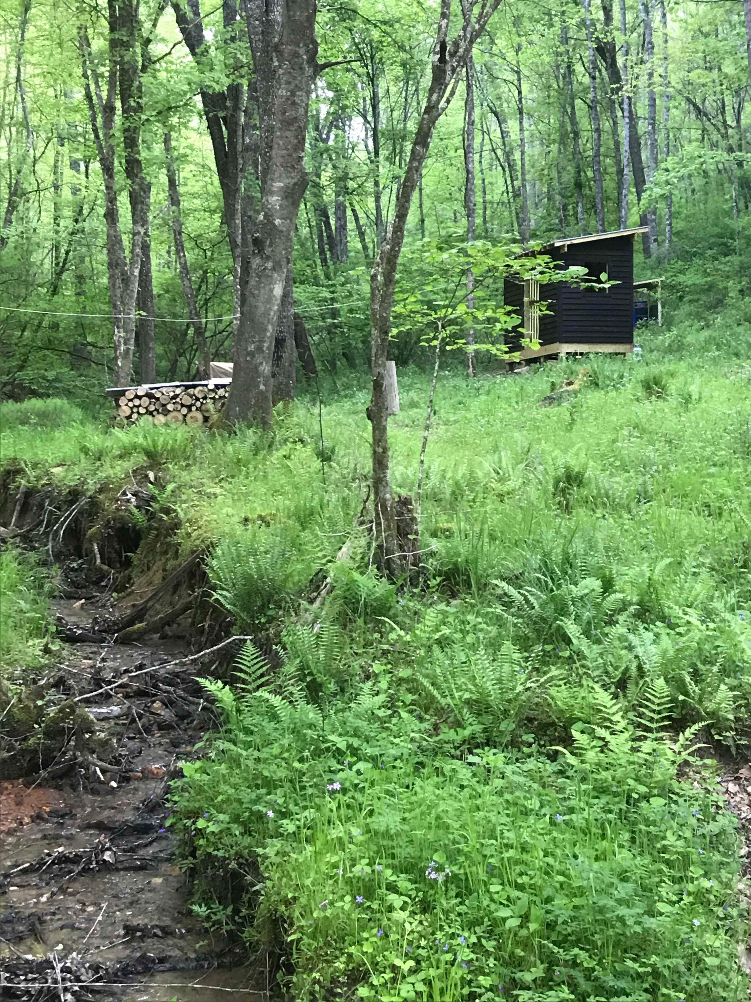 Lovely view of campsite from the otherwise of Smith Creek. 