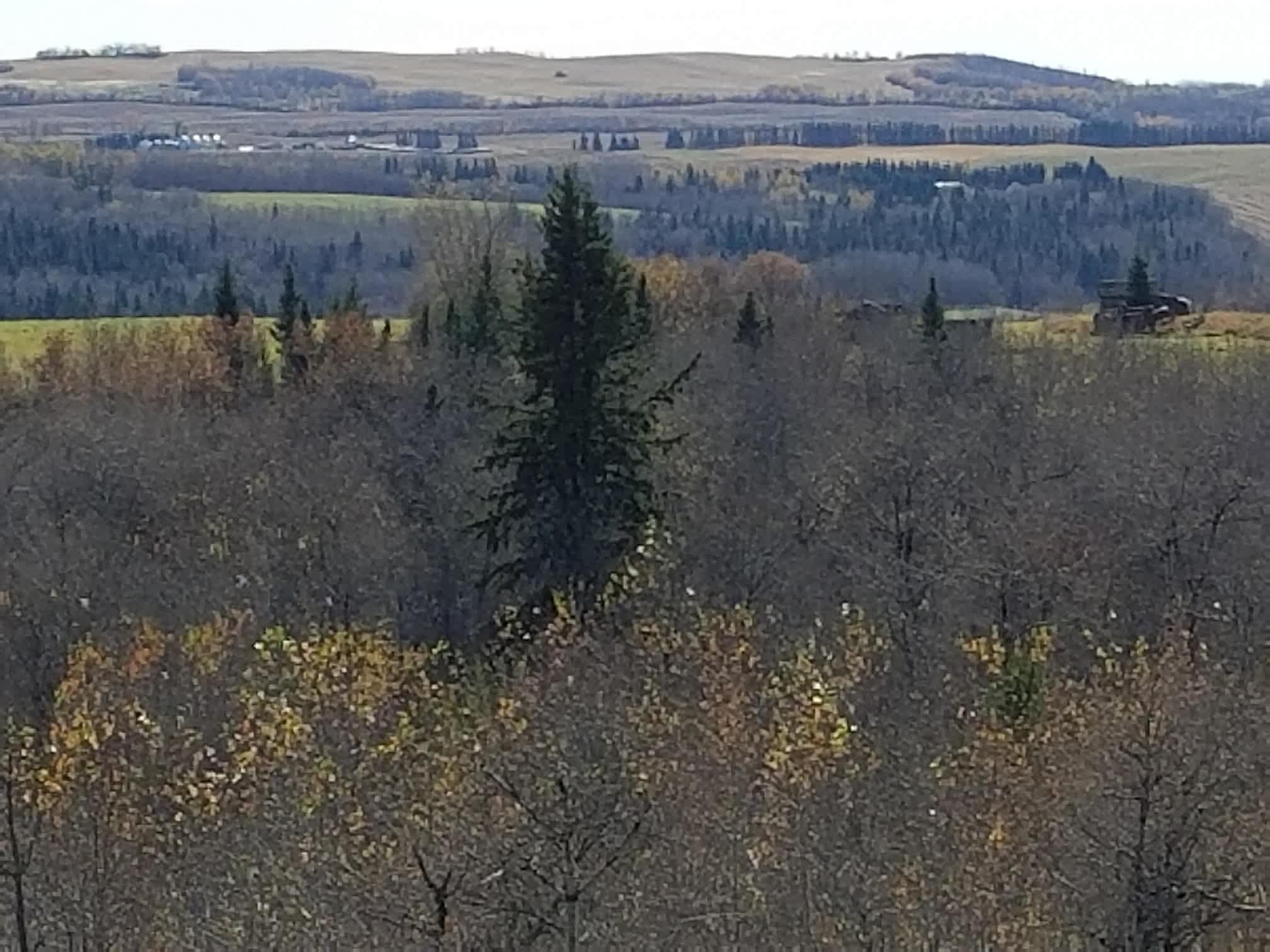 Lake View Property