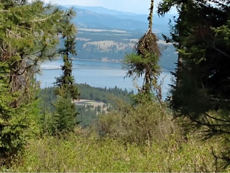 Parkside Mountain Ranch