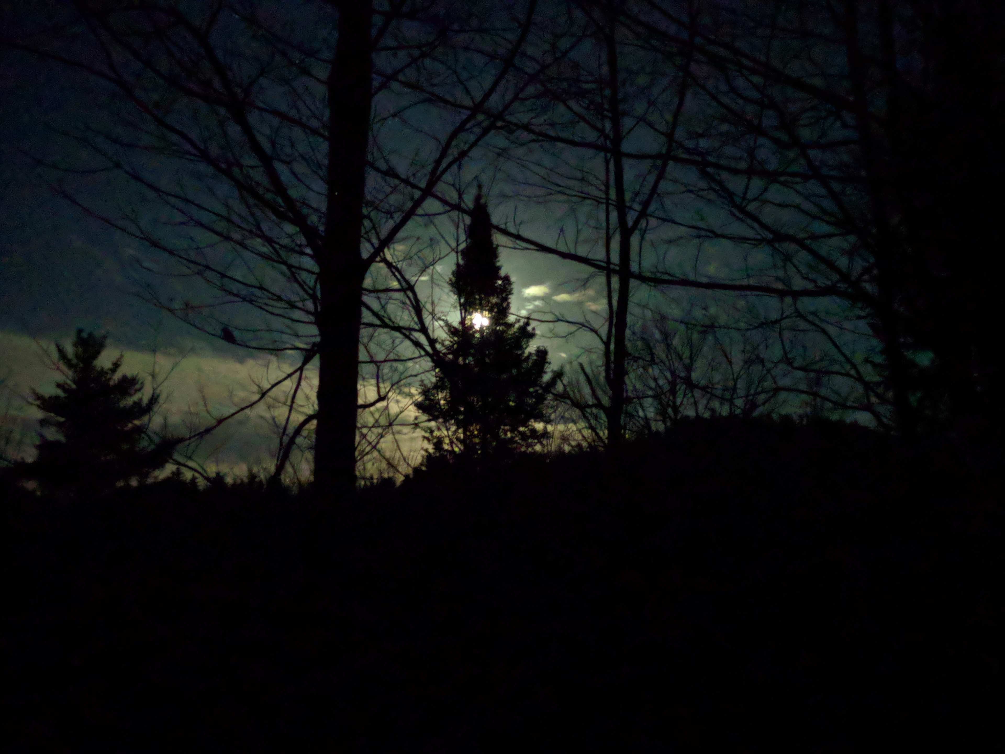 Possum Creek Campground