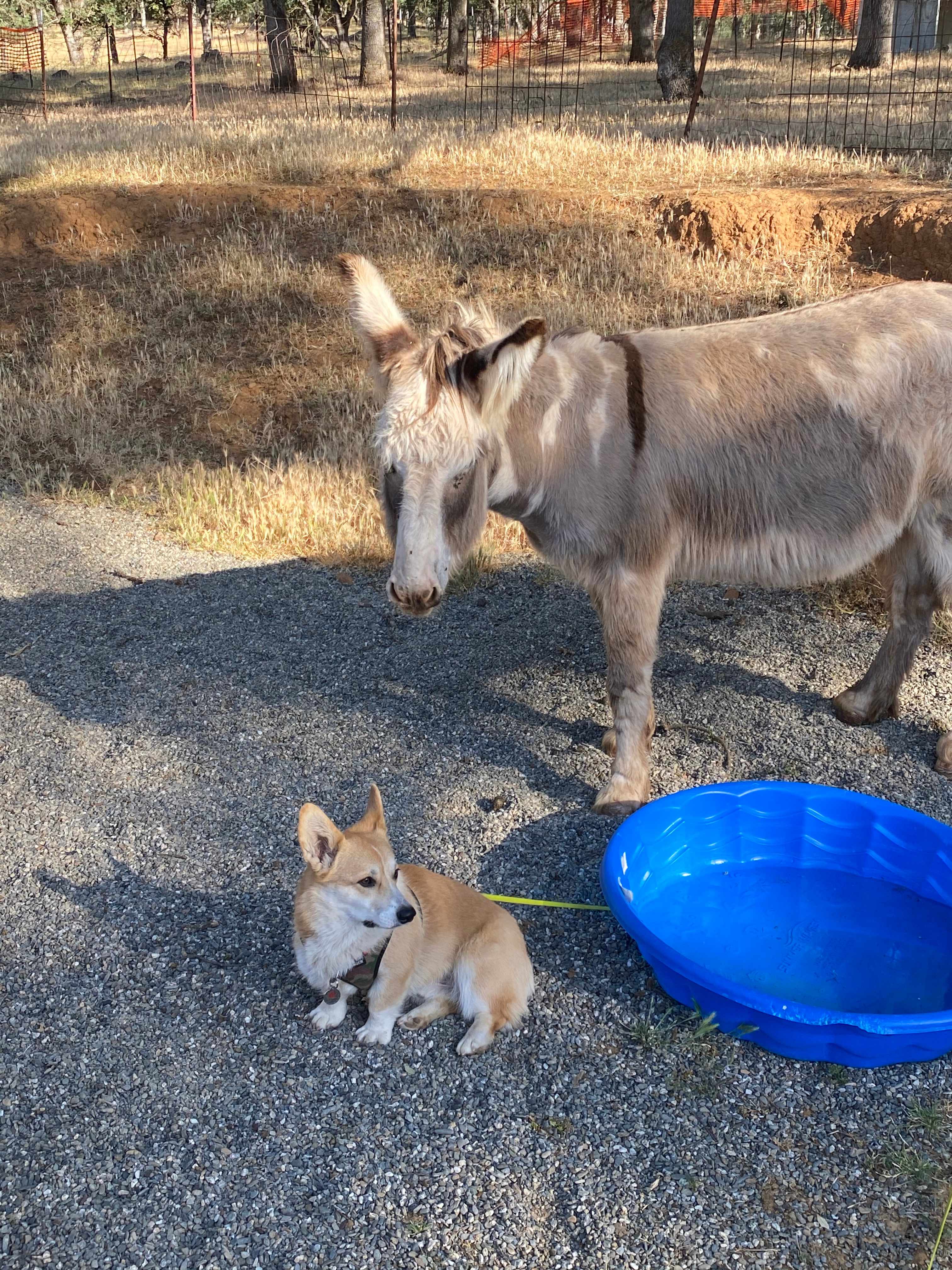 Riley with my dog. 