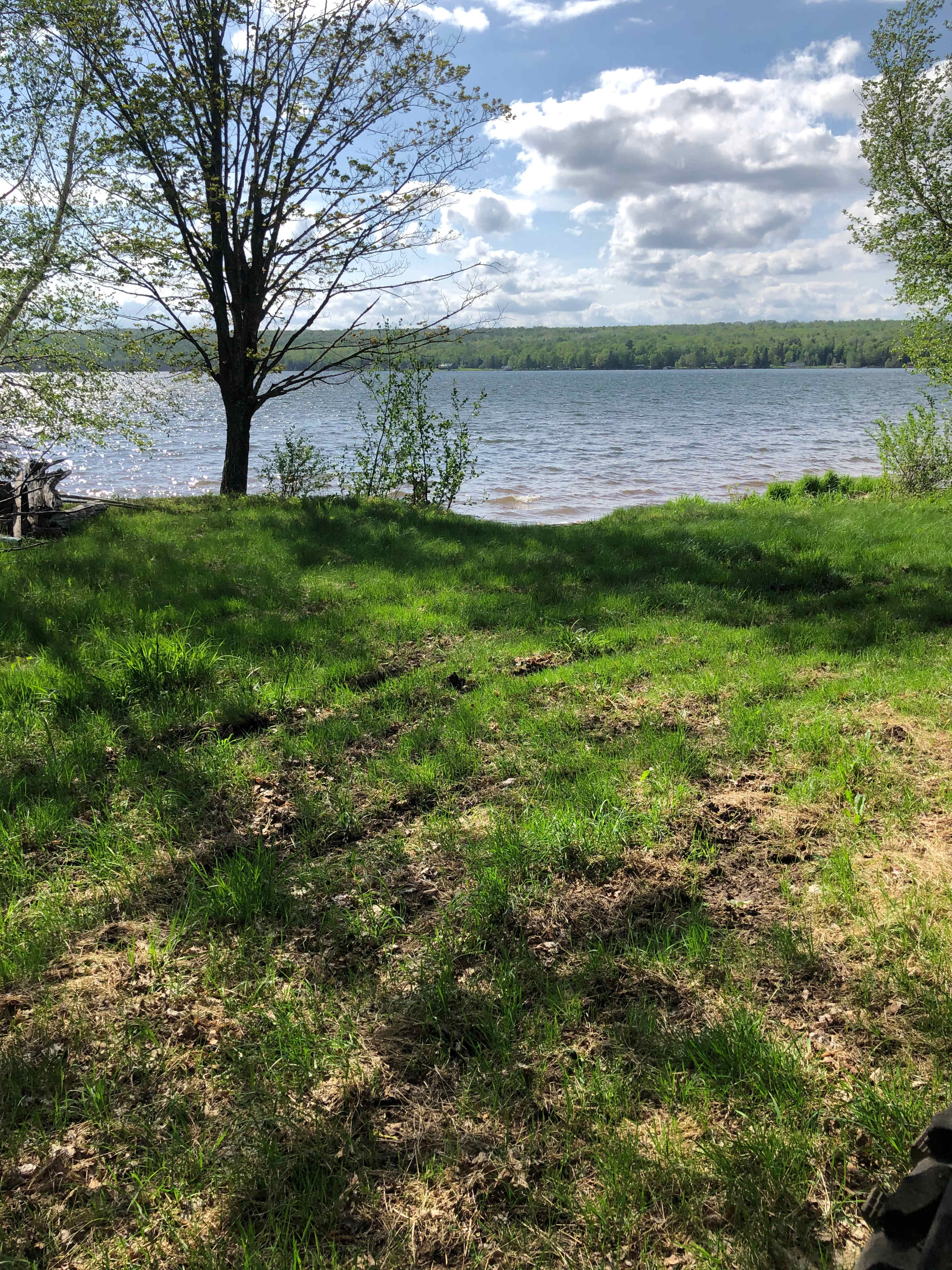 Private Wooded Camping on the Lake