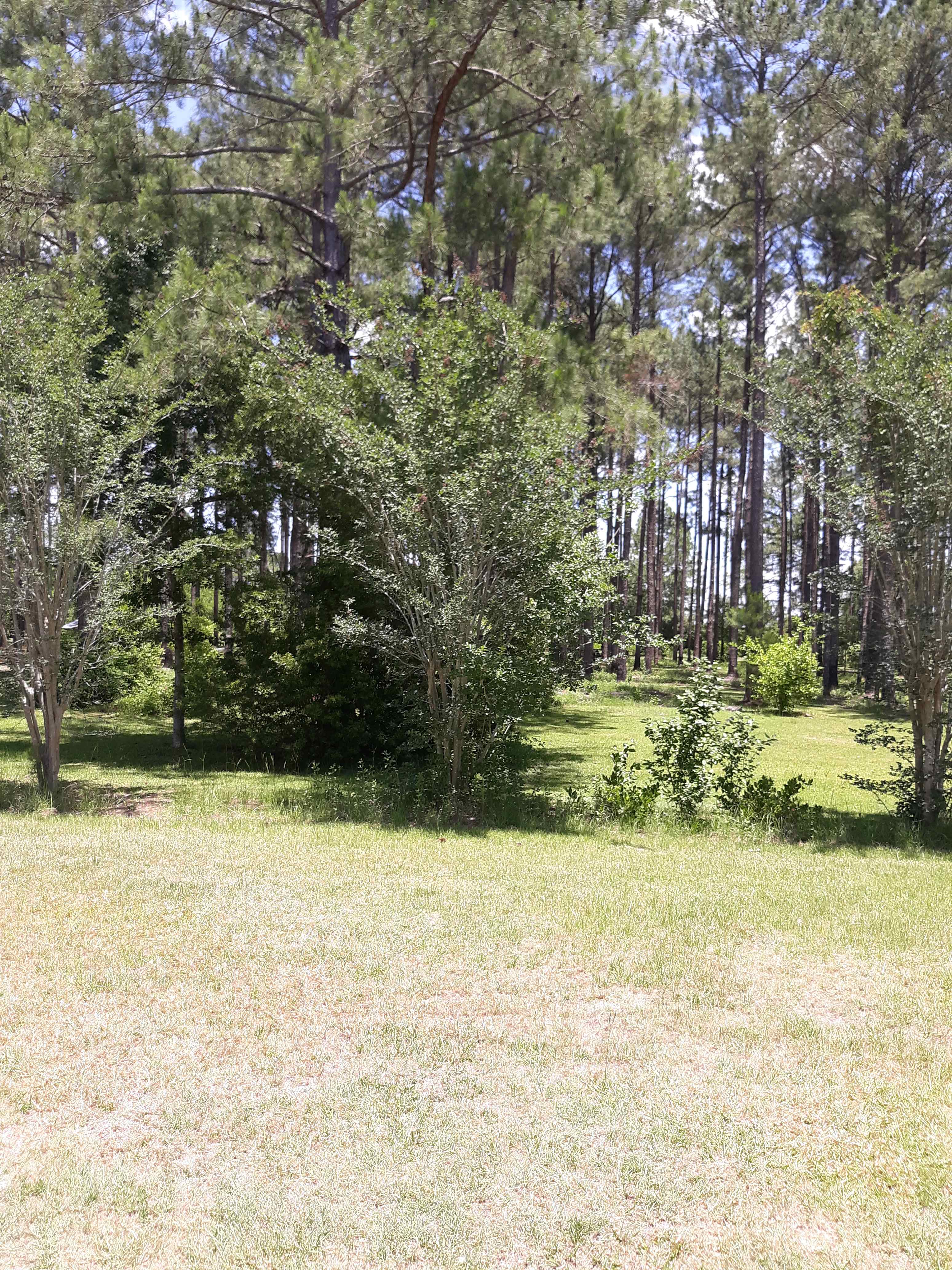 The Fruit Factory RV Site