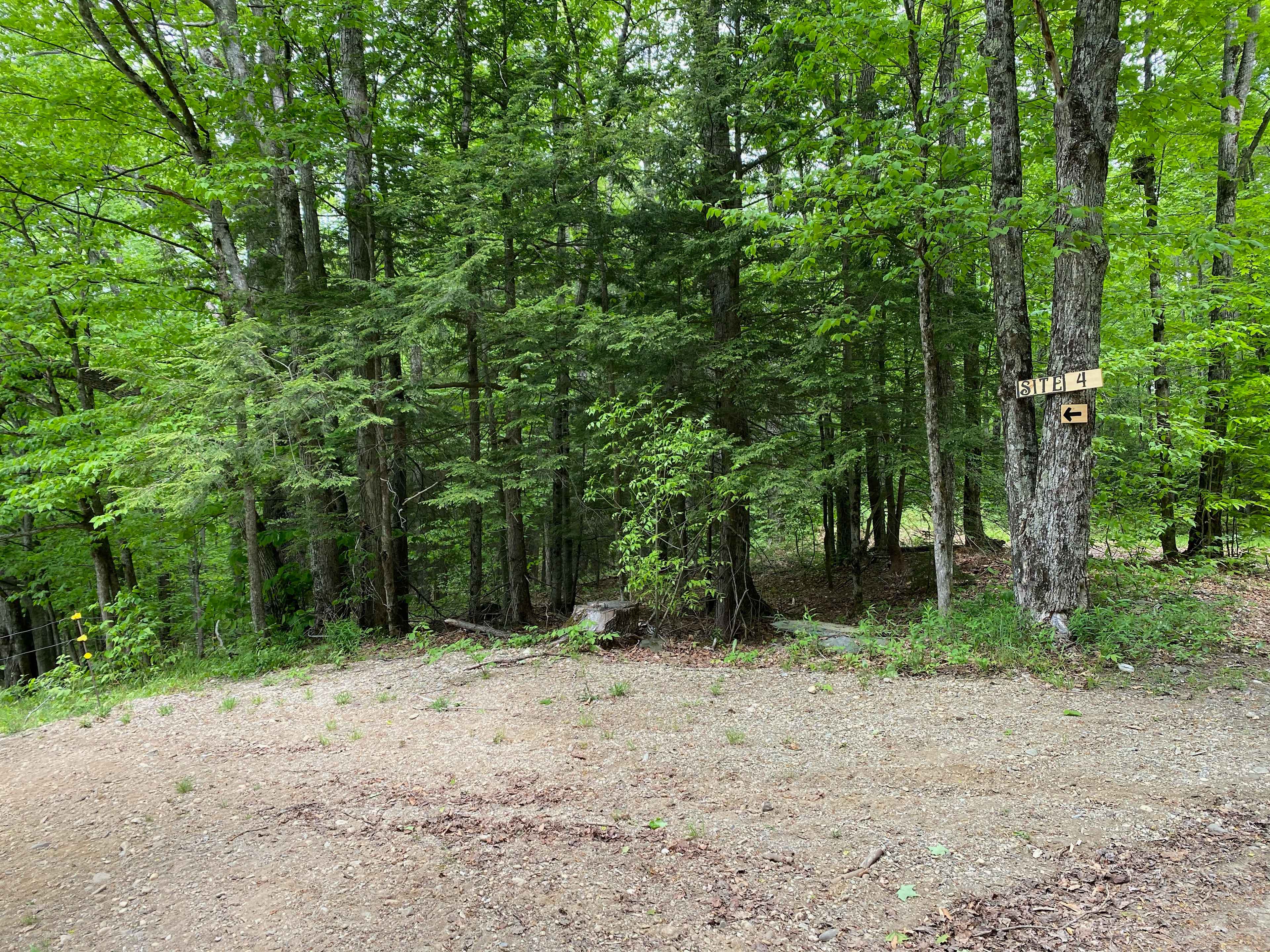 Picture of the site