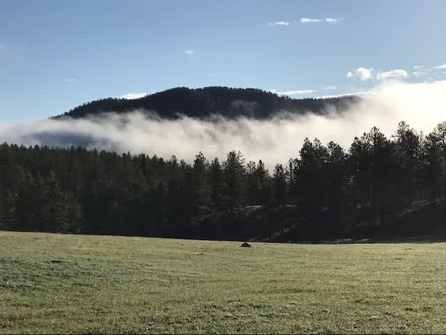 View to the north east from the Backwoods site.