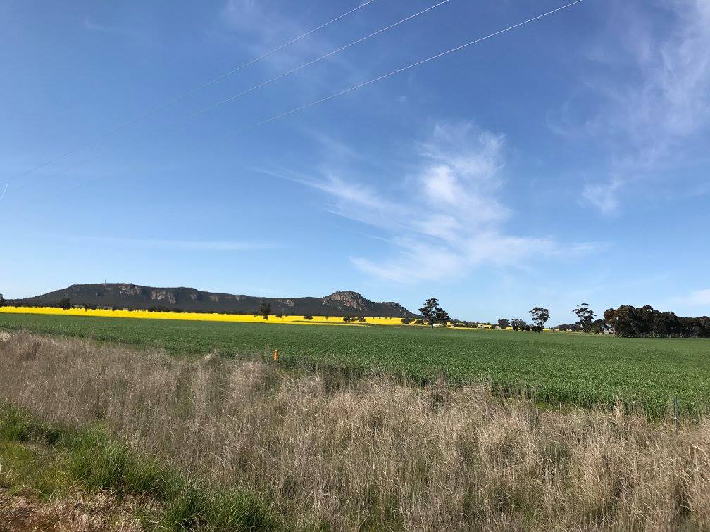Dufholme Cabin & Camping
