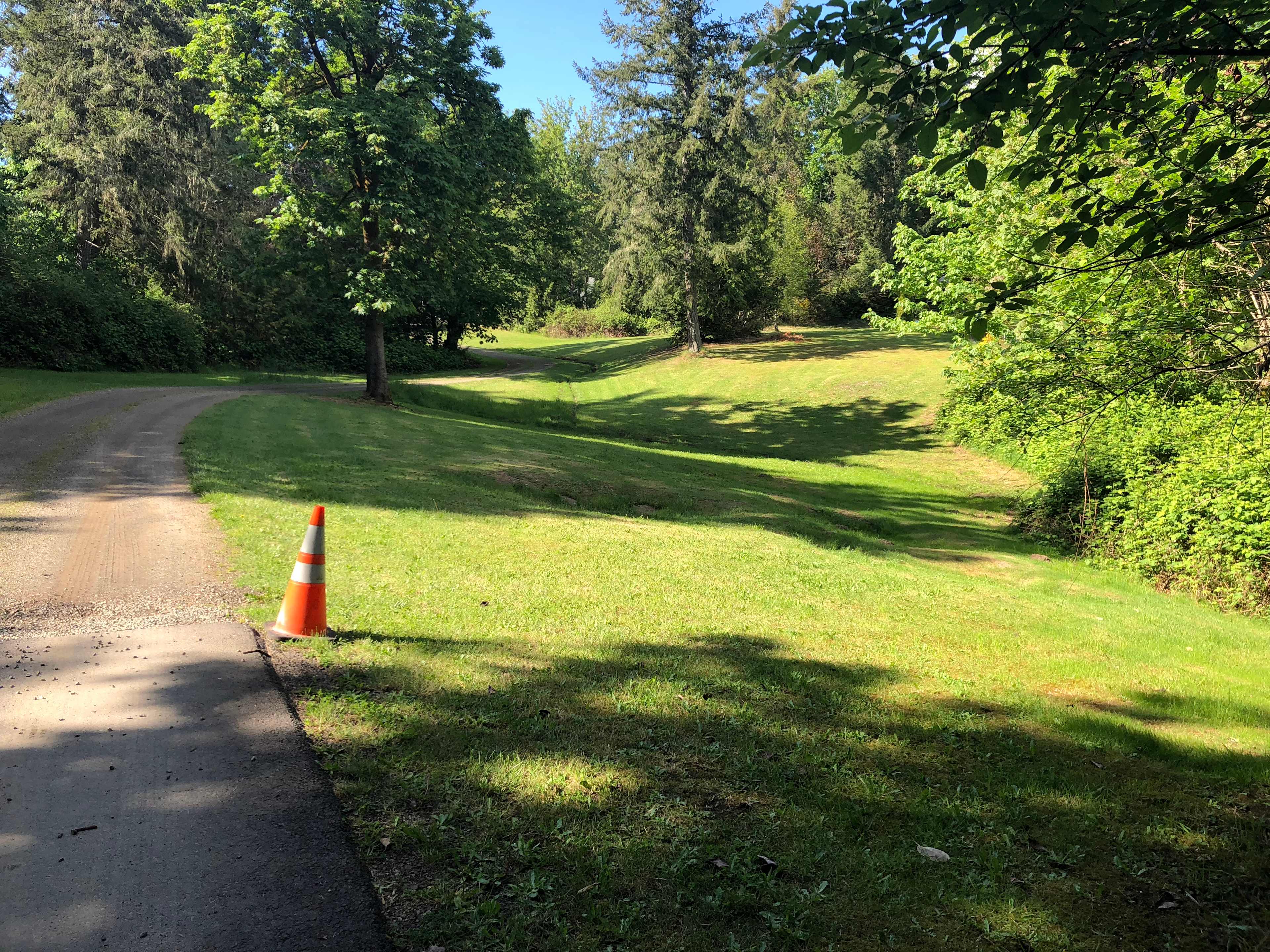 Madrona Hill