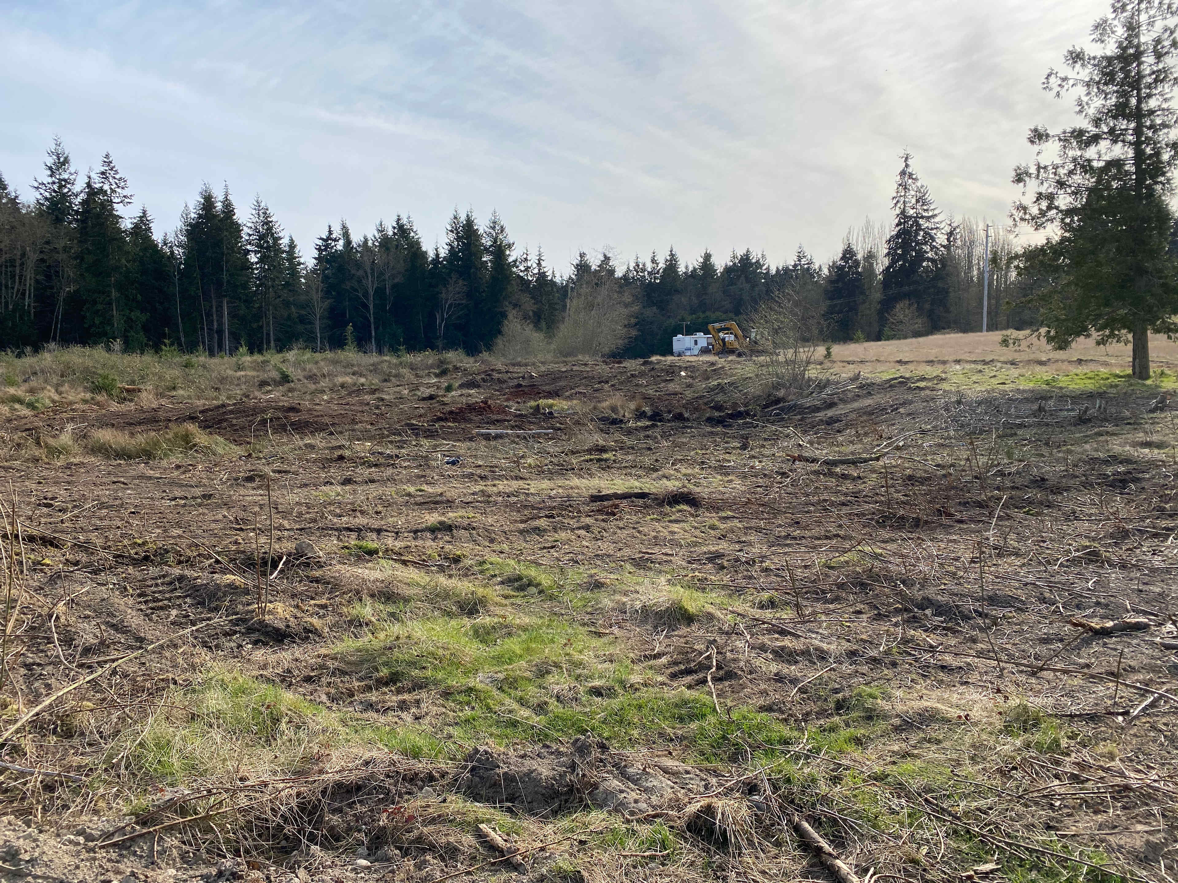 Whidbey Island Christmas Tree Farm