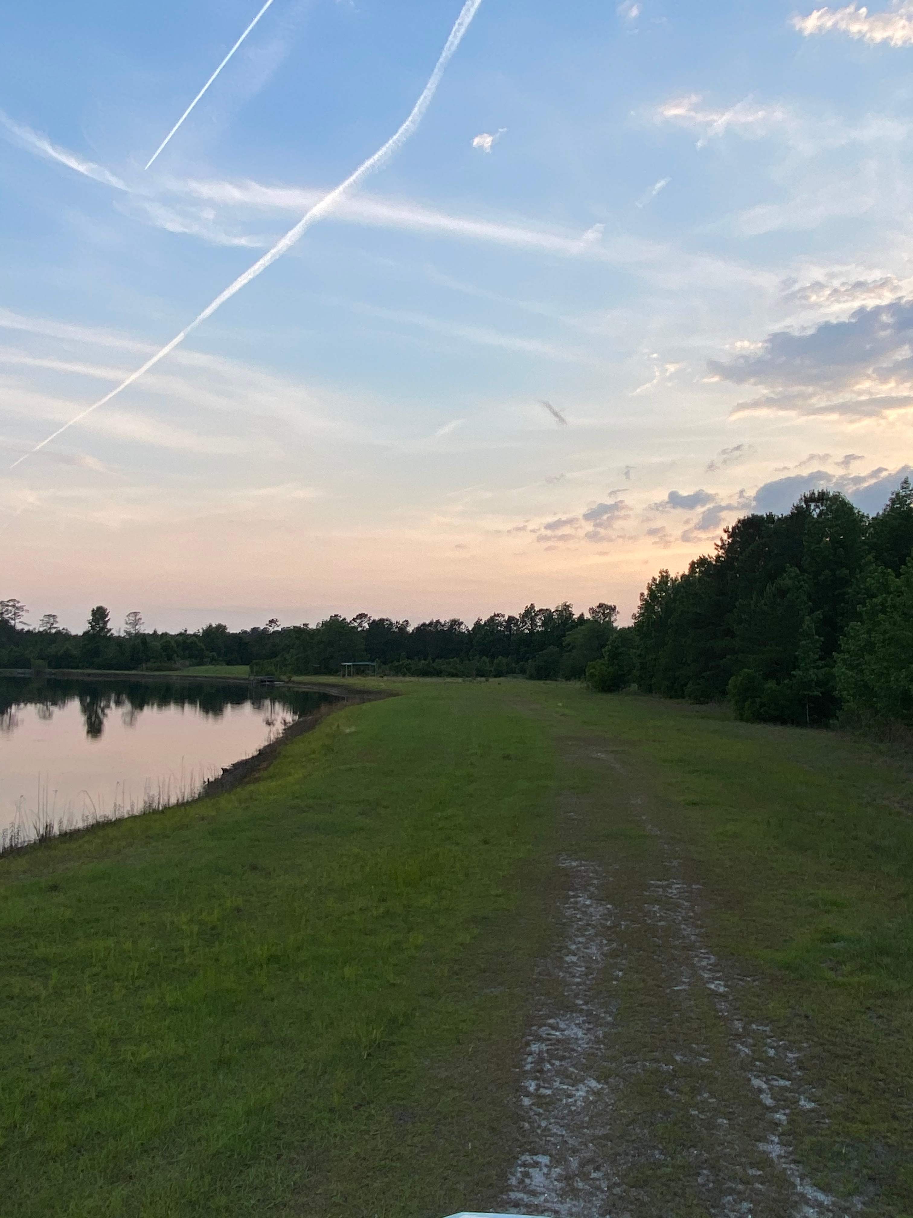 The Pine Tree Retreat