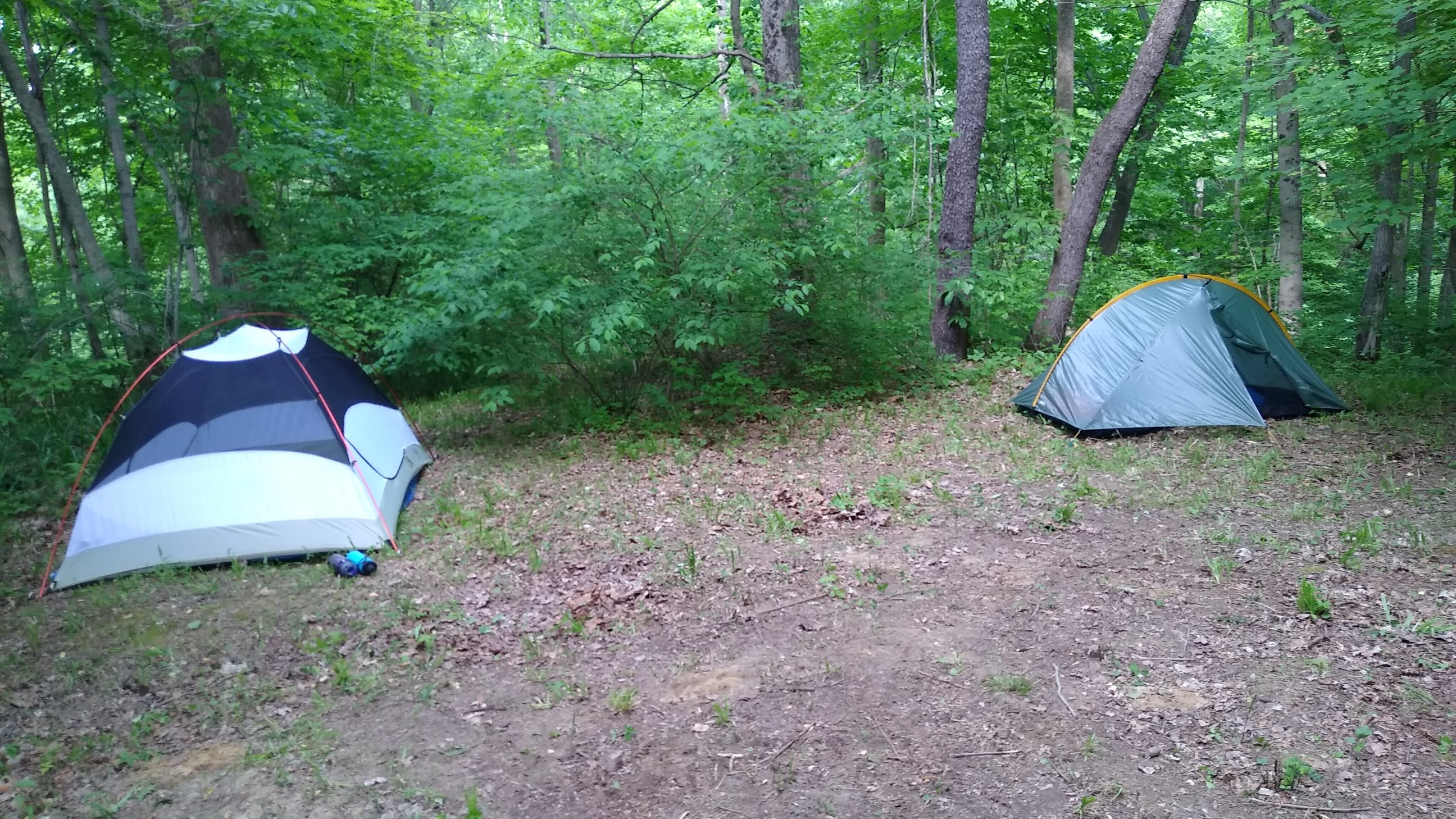 Ridge top camps can hold 2 tents easily plus hammocks. 