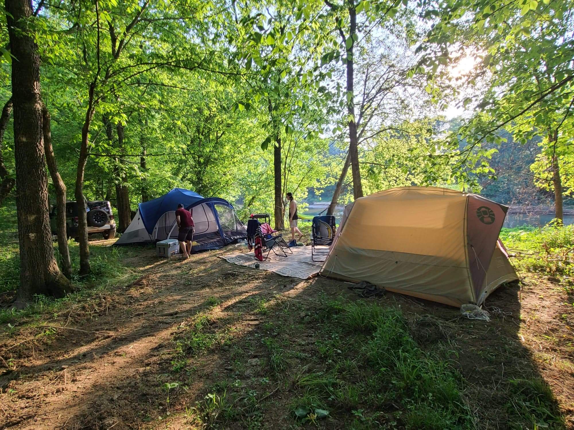 Picture of the site