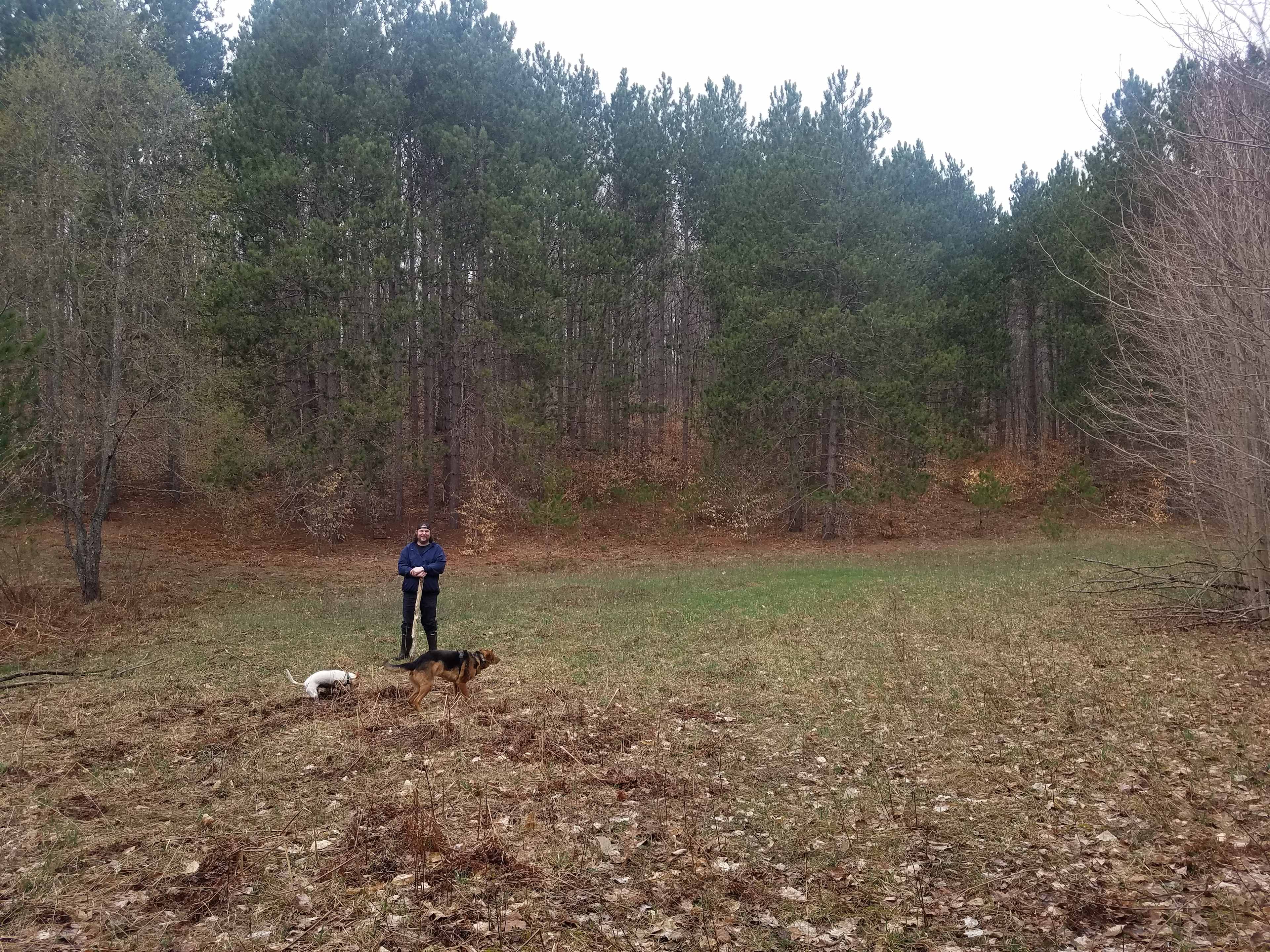 Second meadow for camping, must hike in and cross creek to access this spot.