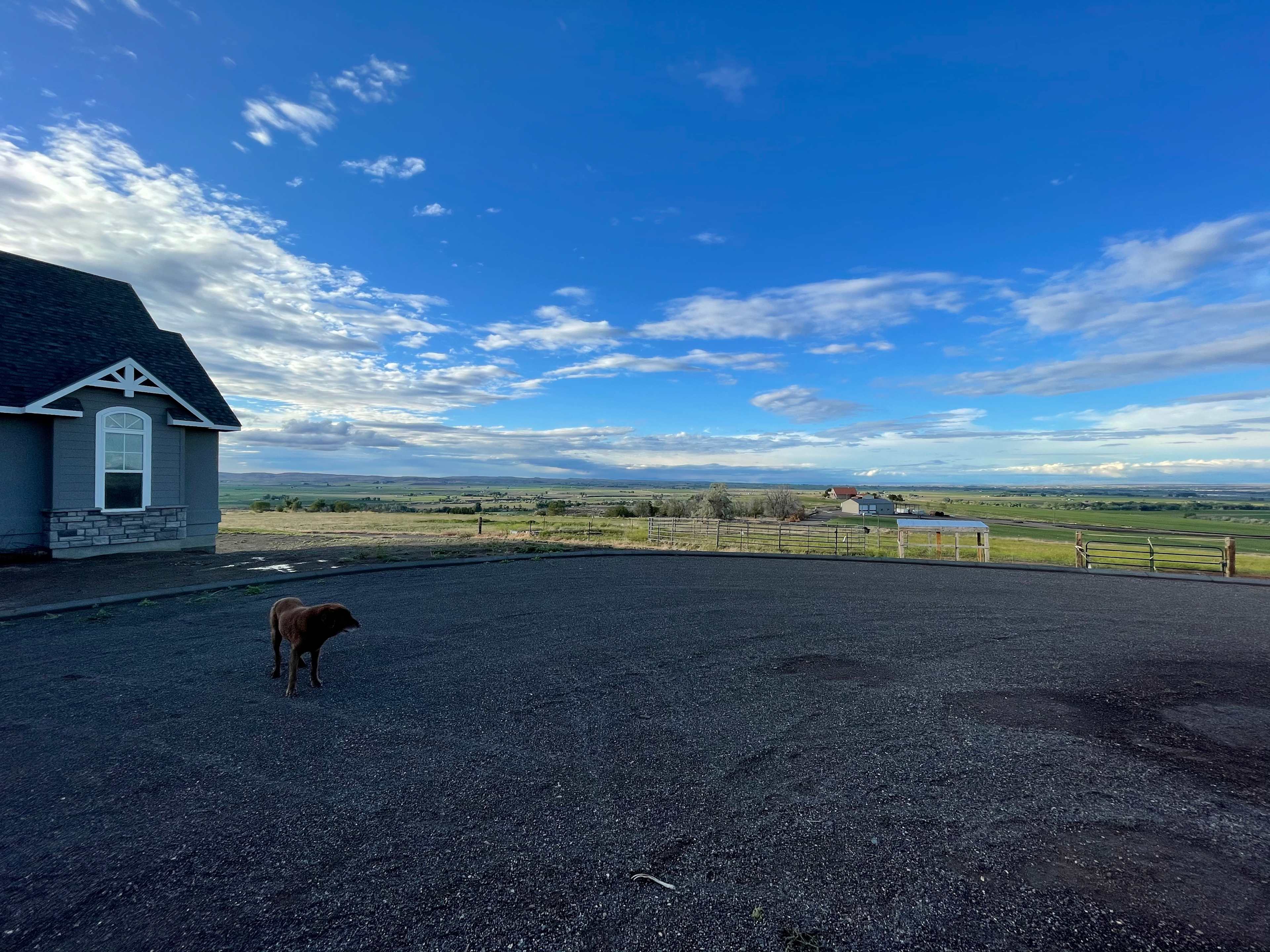 CTC Farms