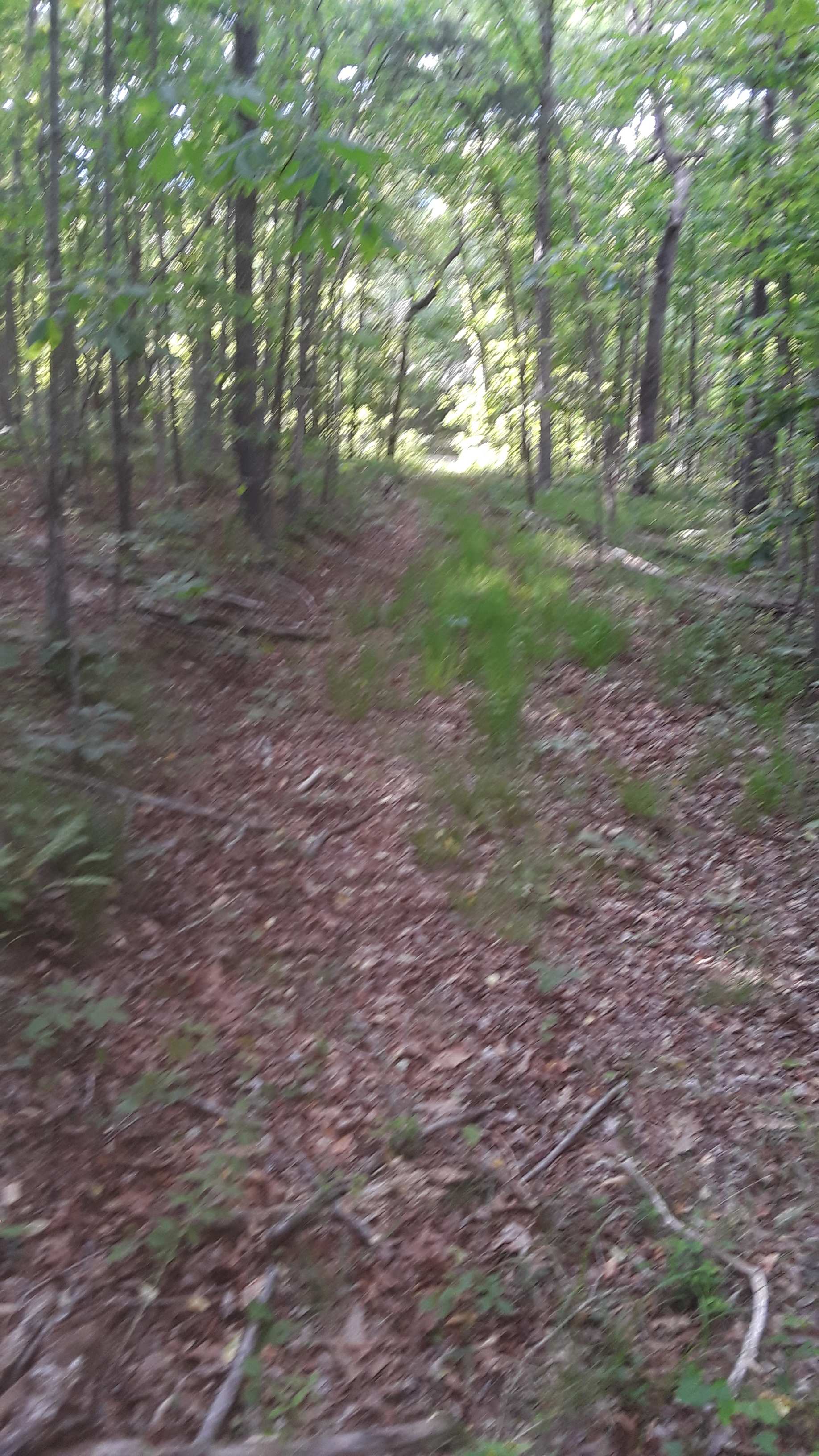 Porch rock tent camping