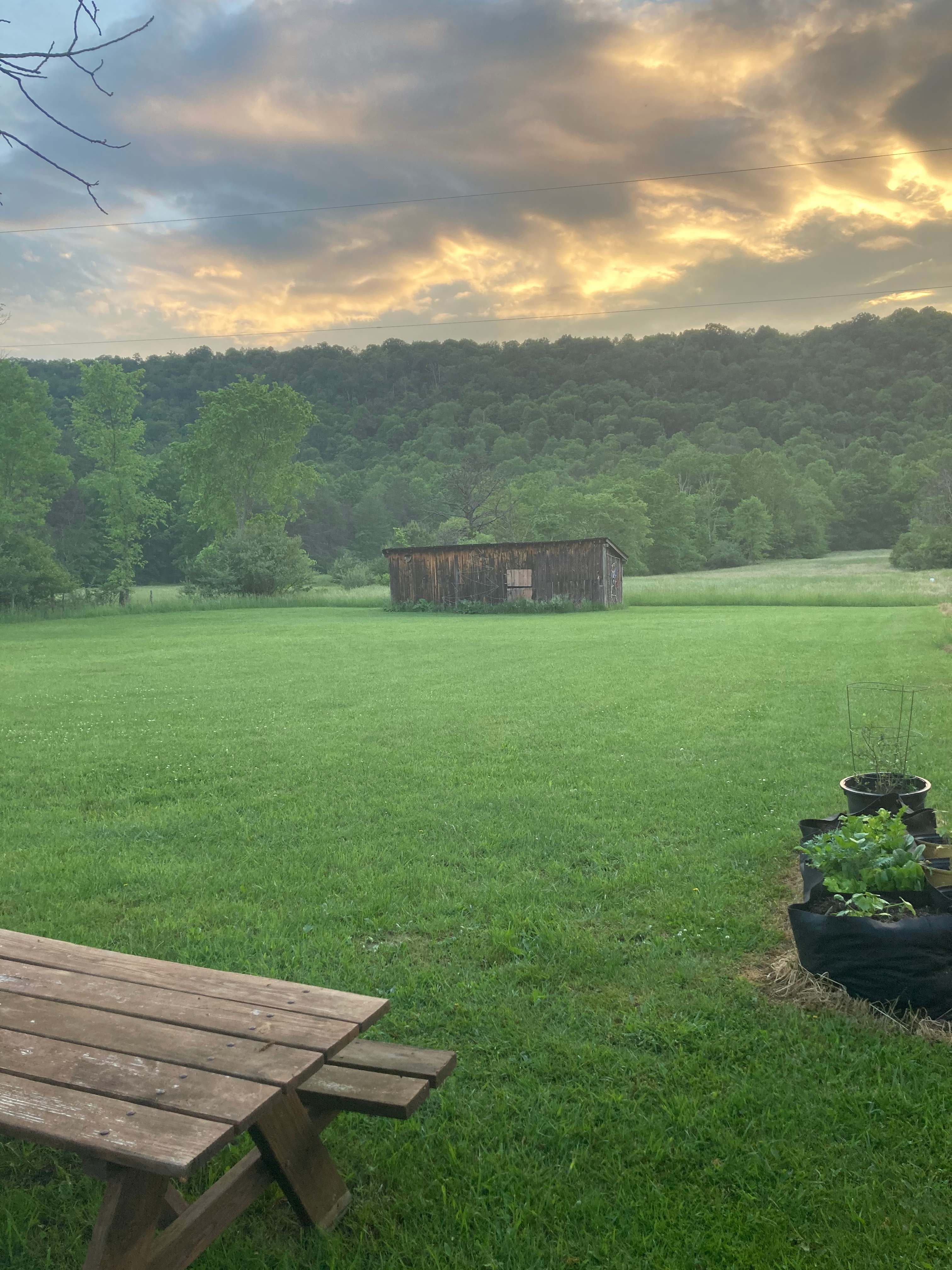 Pine Hallow Farms