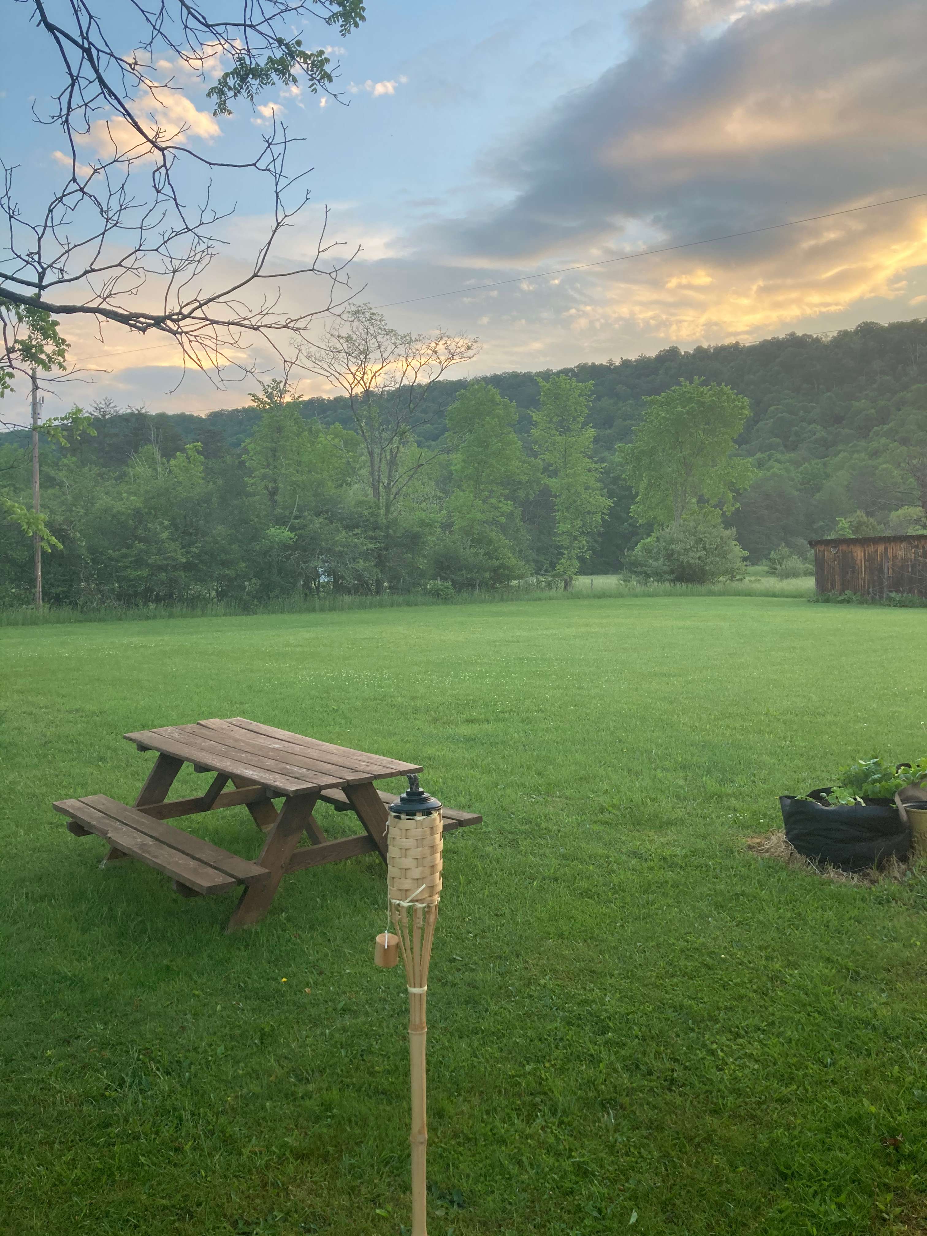 Pine Hallow Farms