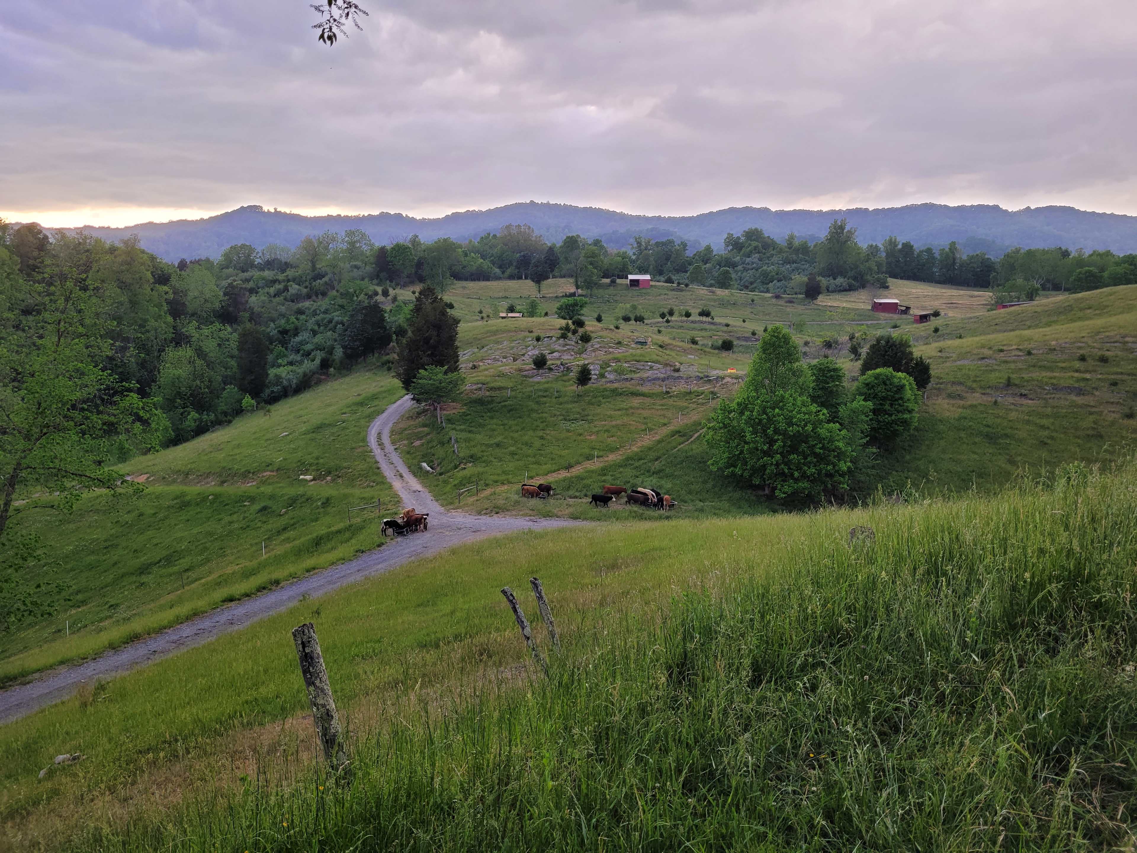 Buffalo Ridge Mountains