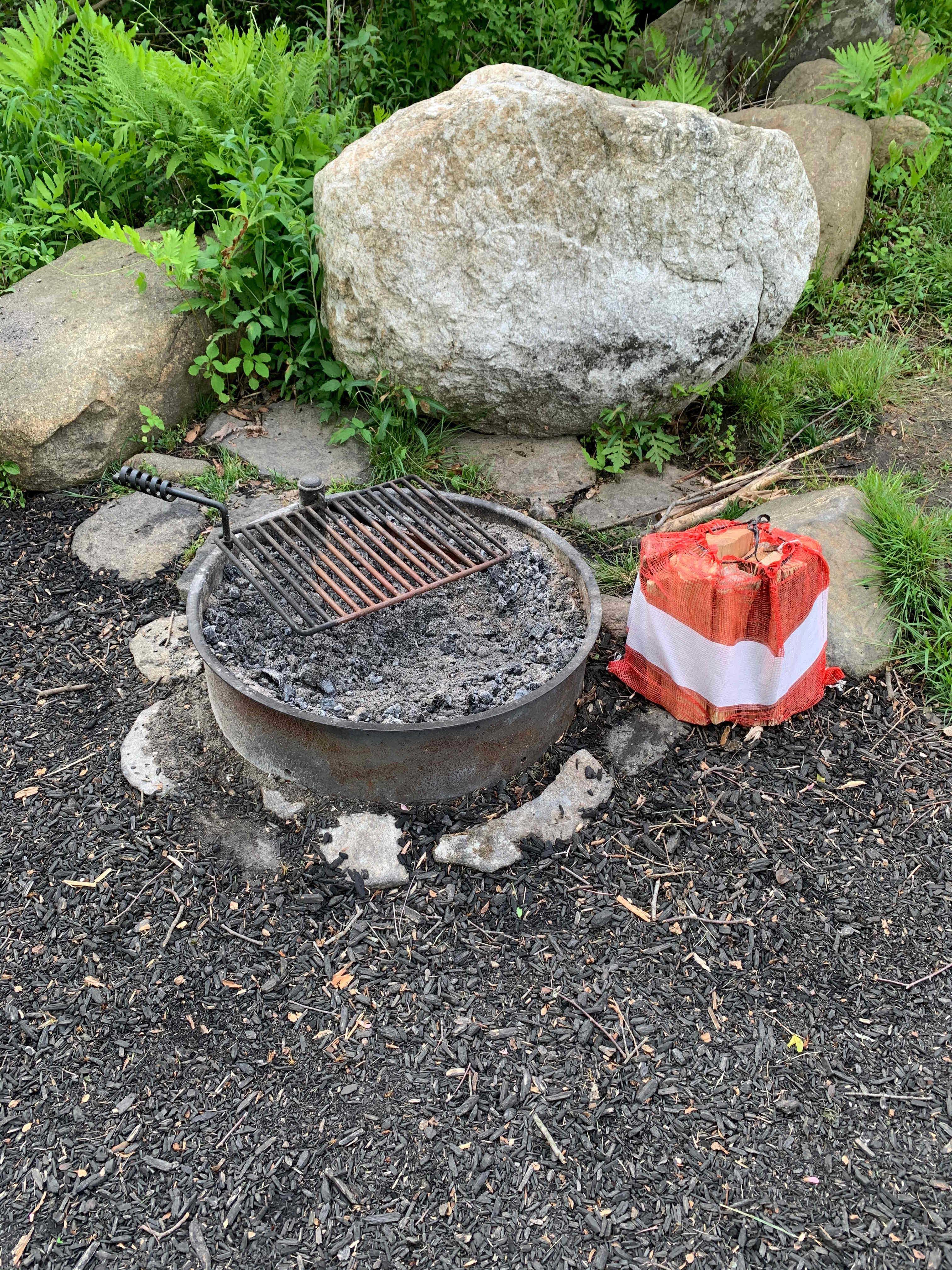 Our large bundles of firewood of $10 helps support the farm and animals! 
